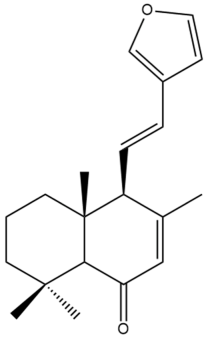 Pharmaceuticals 15 01517 i108