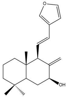 Pharmaceuticals 15 01517 i121