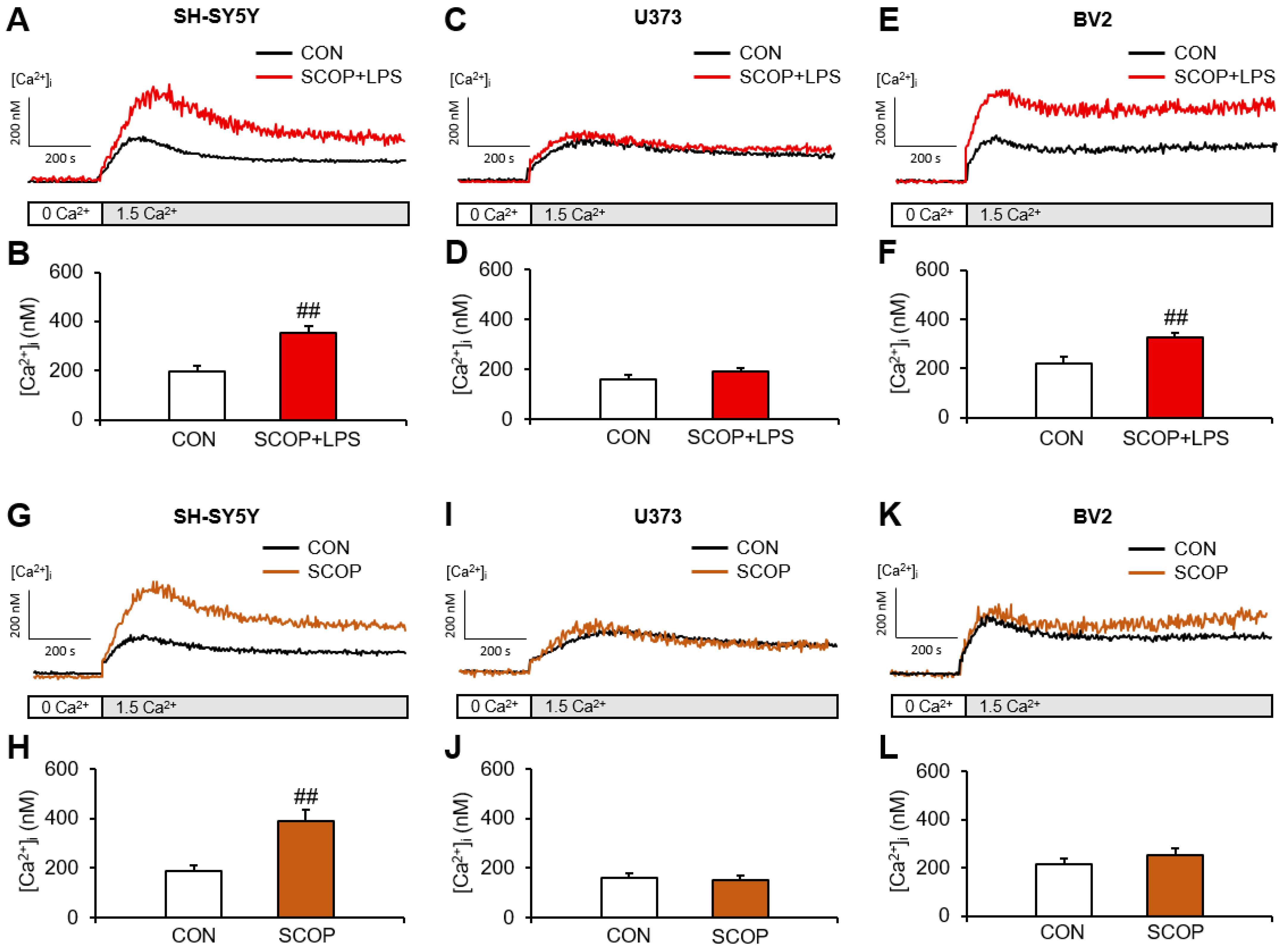 Pharmaceuticals 15 01521 g001 Pharmaceuticals 15 01521 g001