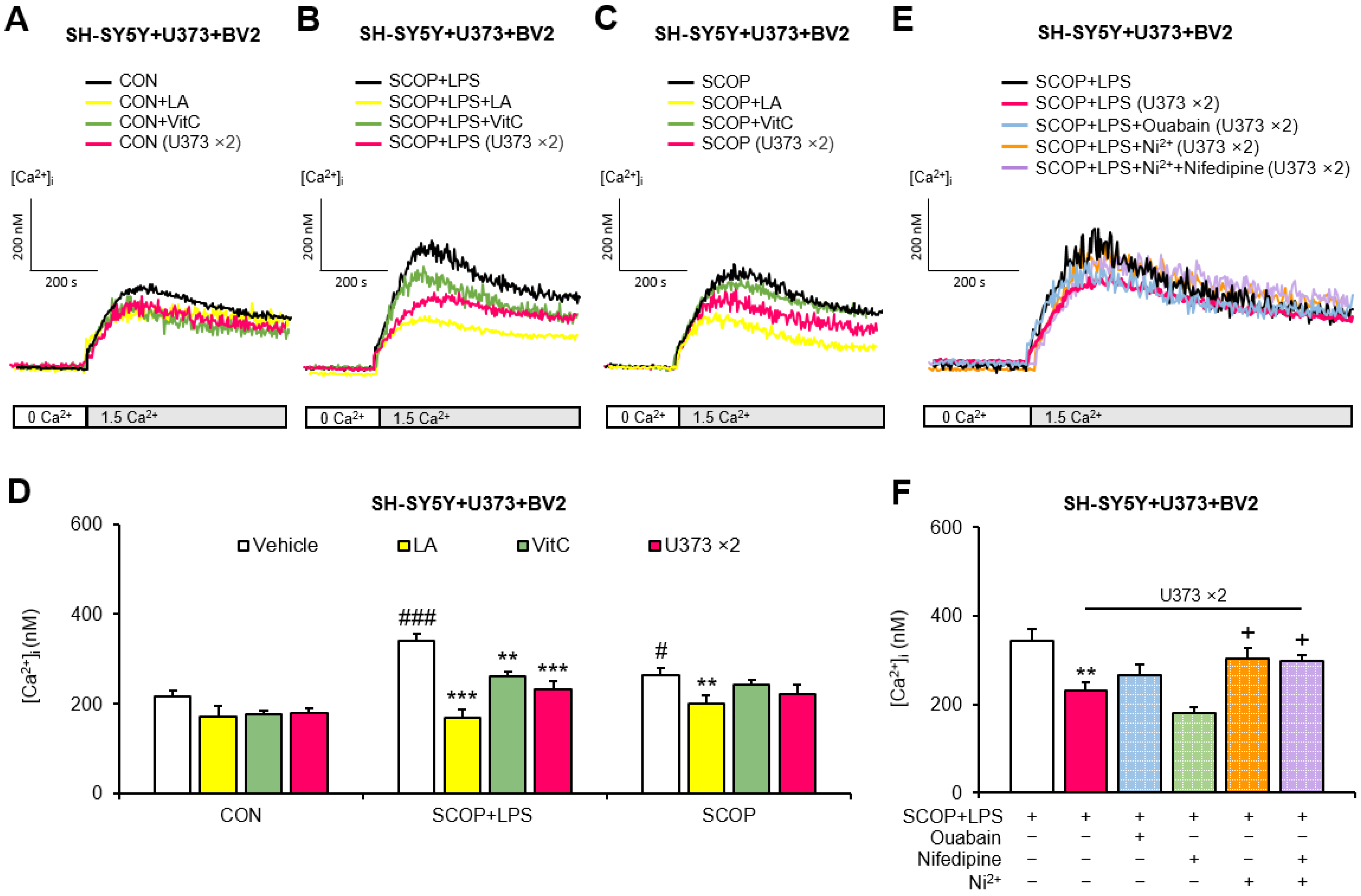 Pharmaceuticals 15 01521 g003 Pharmaceuticals 15 01521 g003