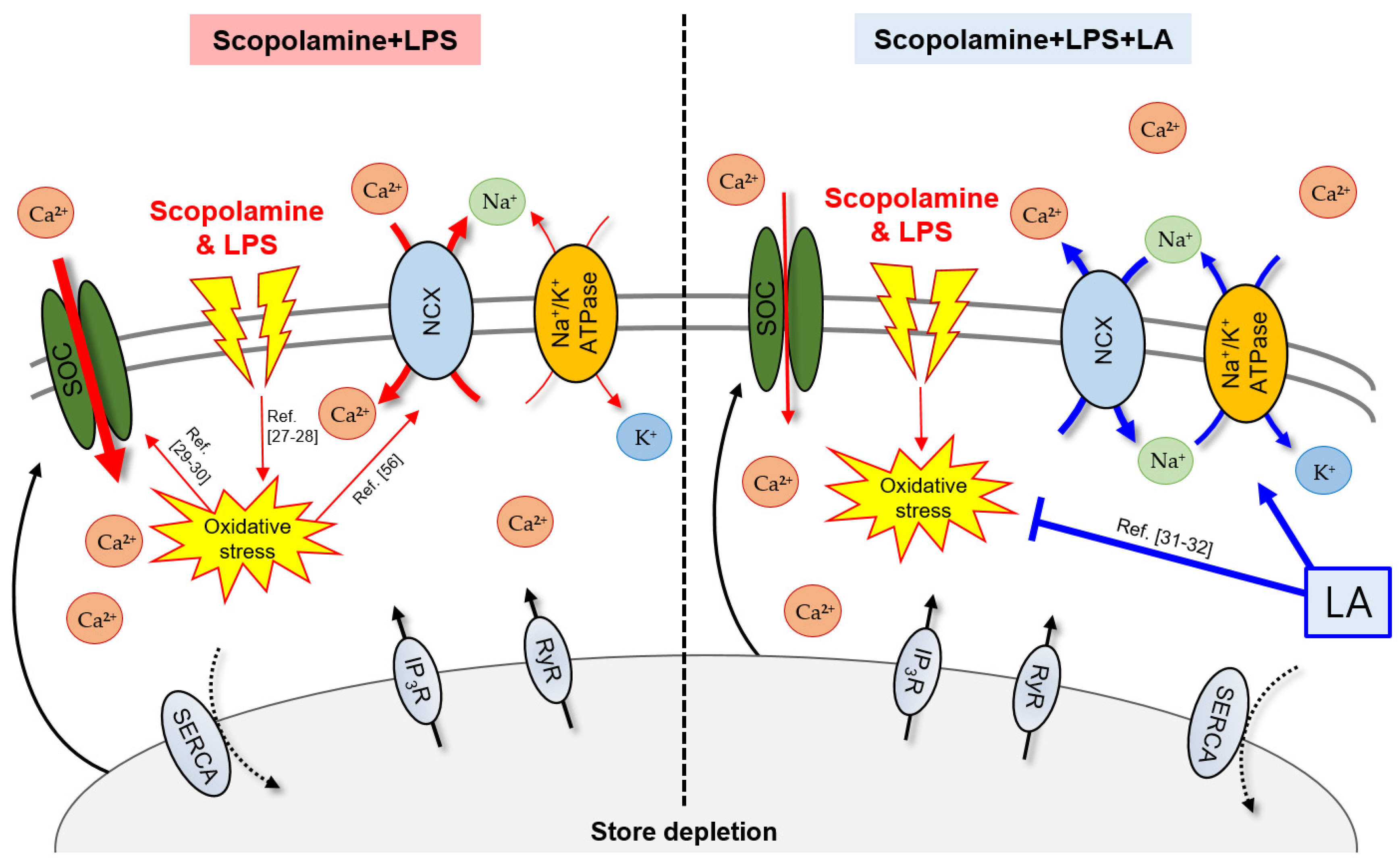 Pharmaceuticals 15 01521 g005 Pharmaceuticals 15 01521 g005