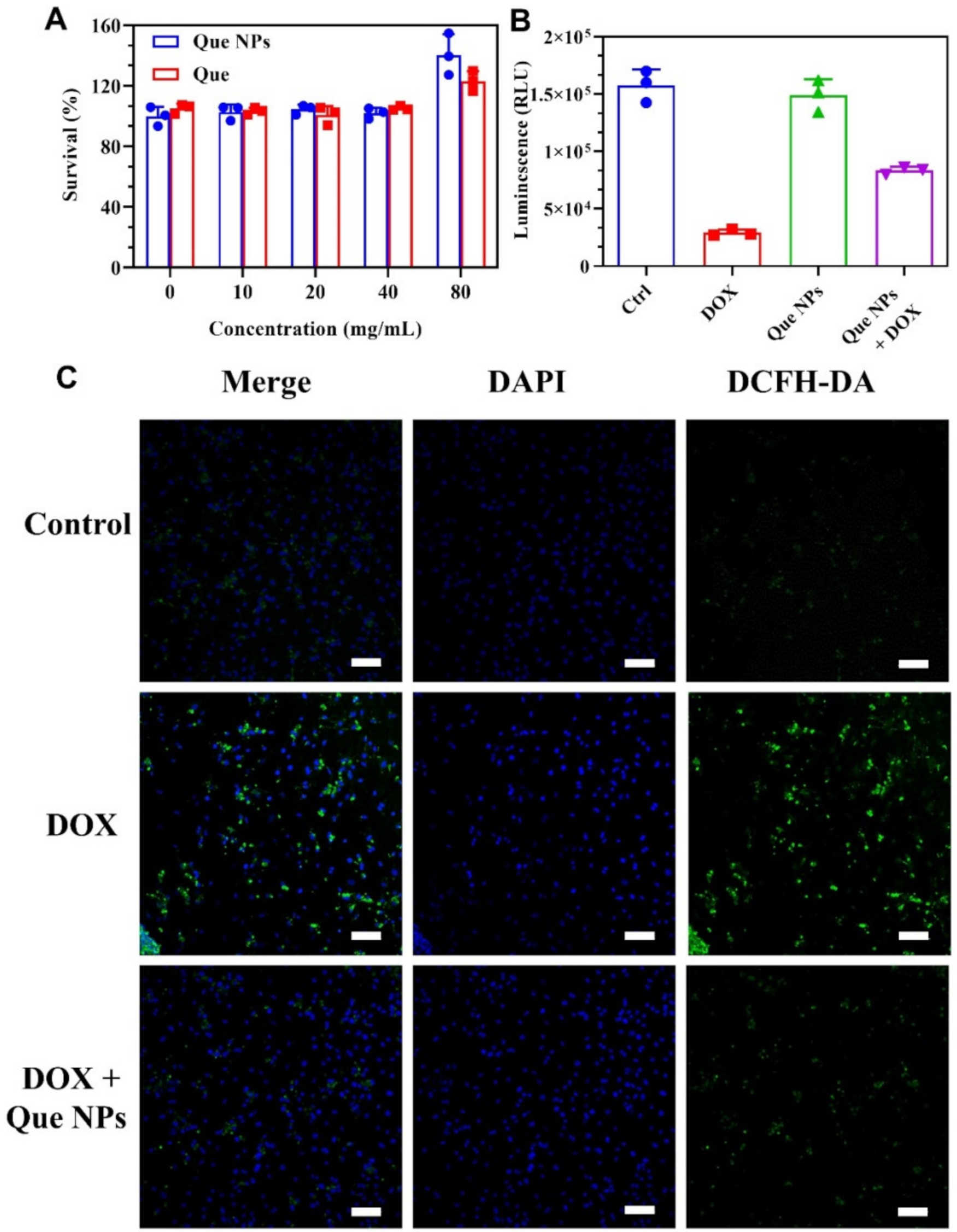 Pharmaceuticals 15 01524 g002 Pharmaceuticals 15 01524 g002