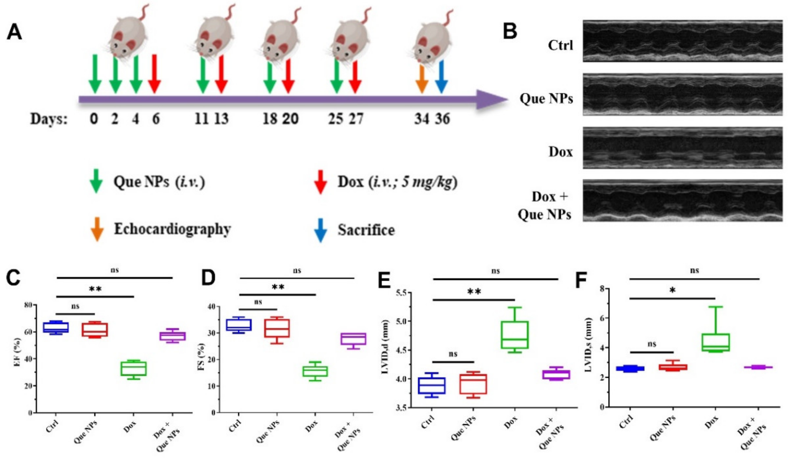 Pharmaceuticals 15 01524 g004 Pharmaceuticals 15 01524 g004