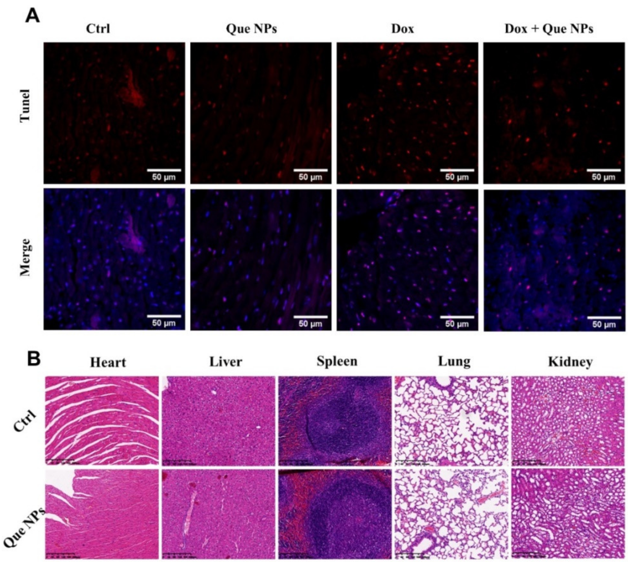 Pharmaceuticals 15 01524 g006 Pharmaceuticals 15 01524 g006