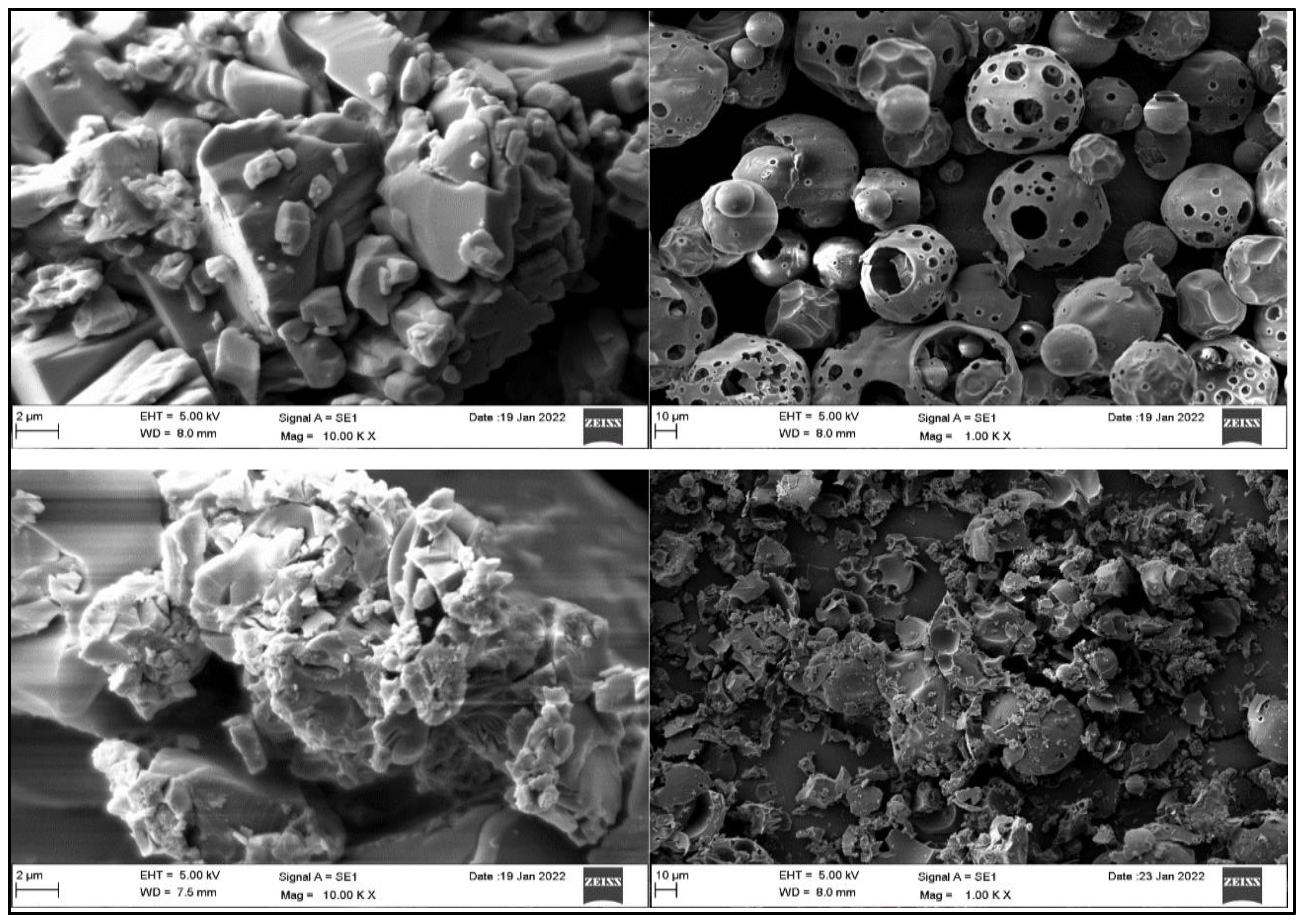 Pharmaceuticals 15 01525 g003