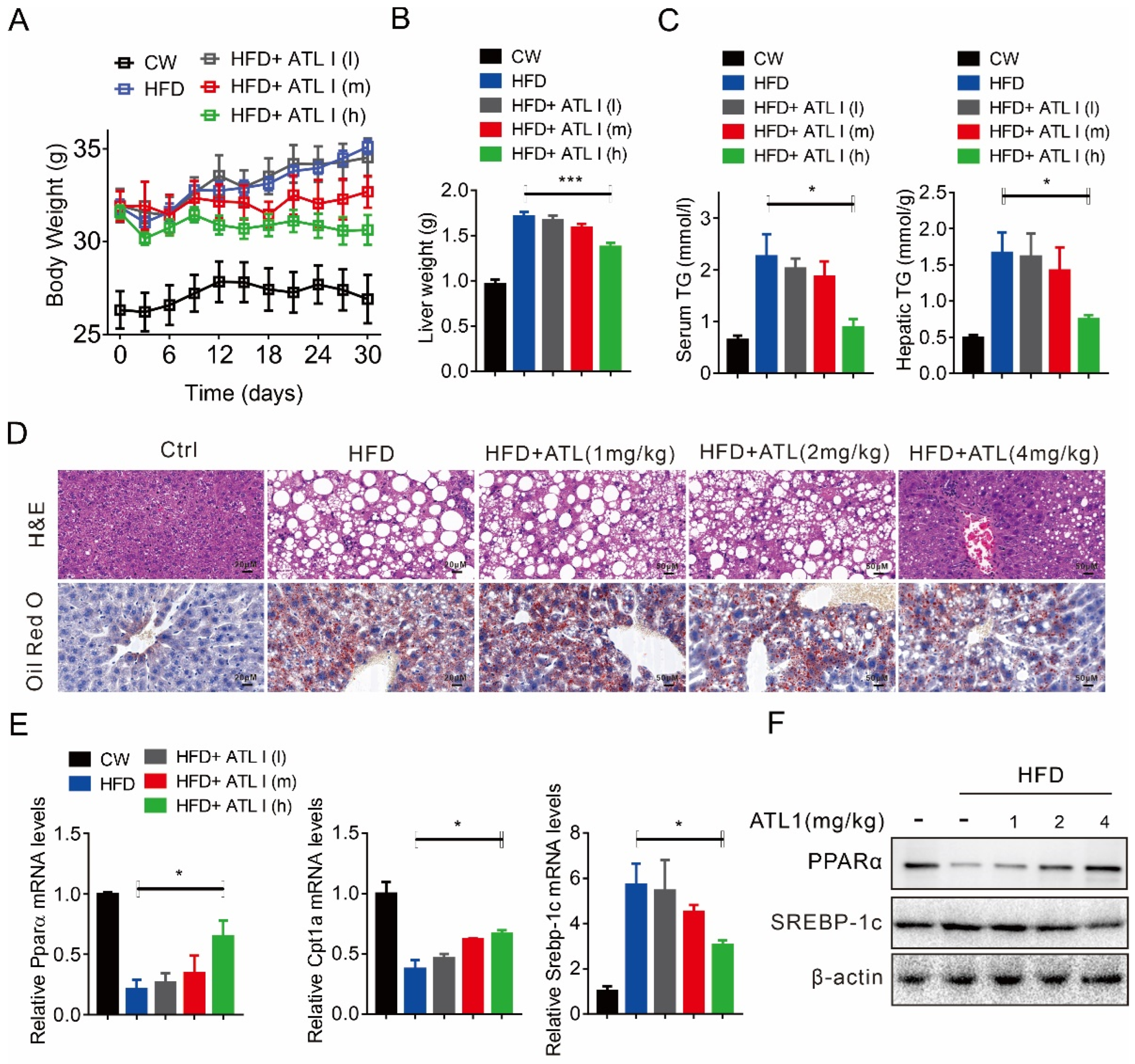 Pharmaceuticals 15 01526 g003