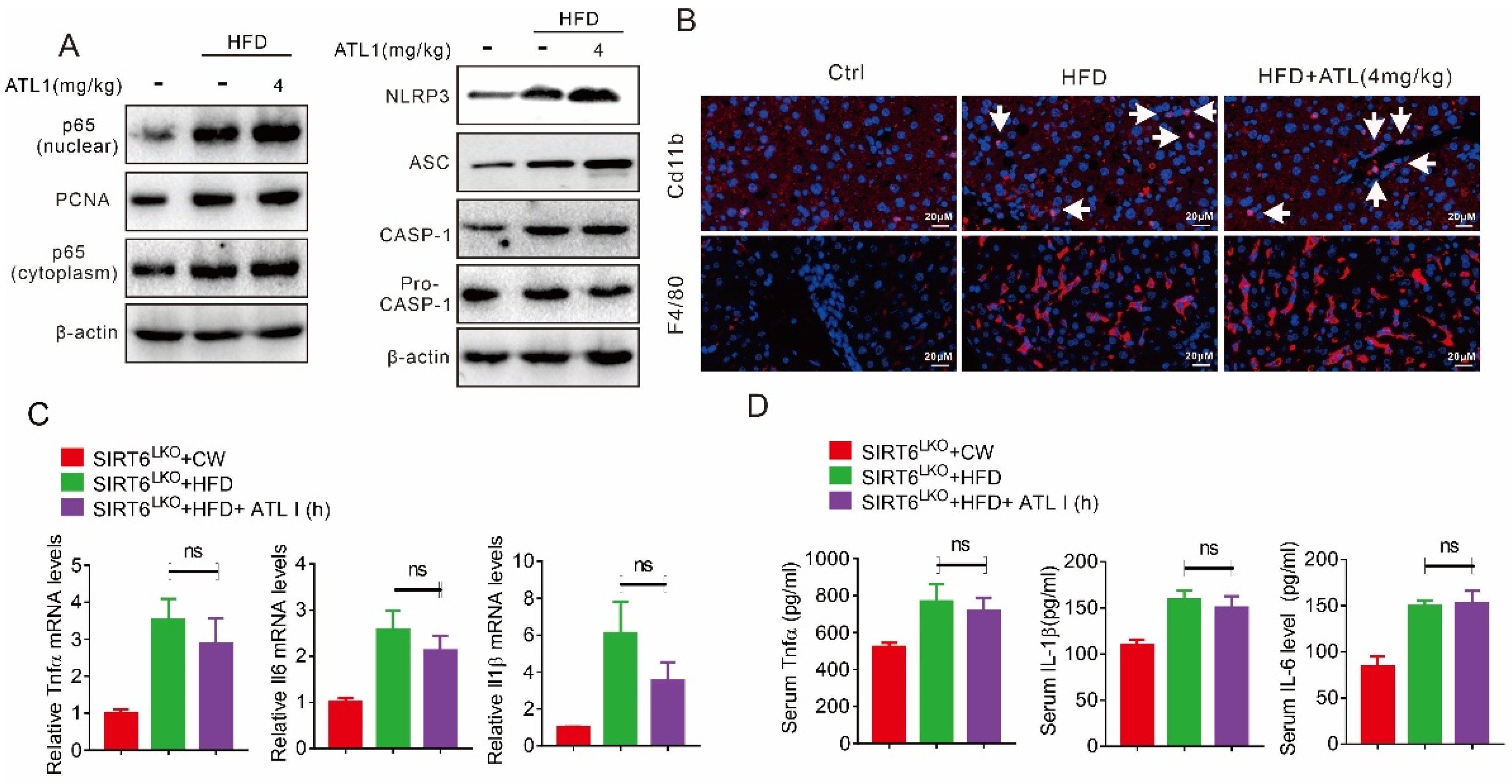 Pharmaceuticals 15 01526 g007