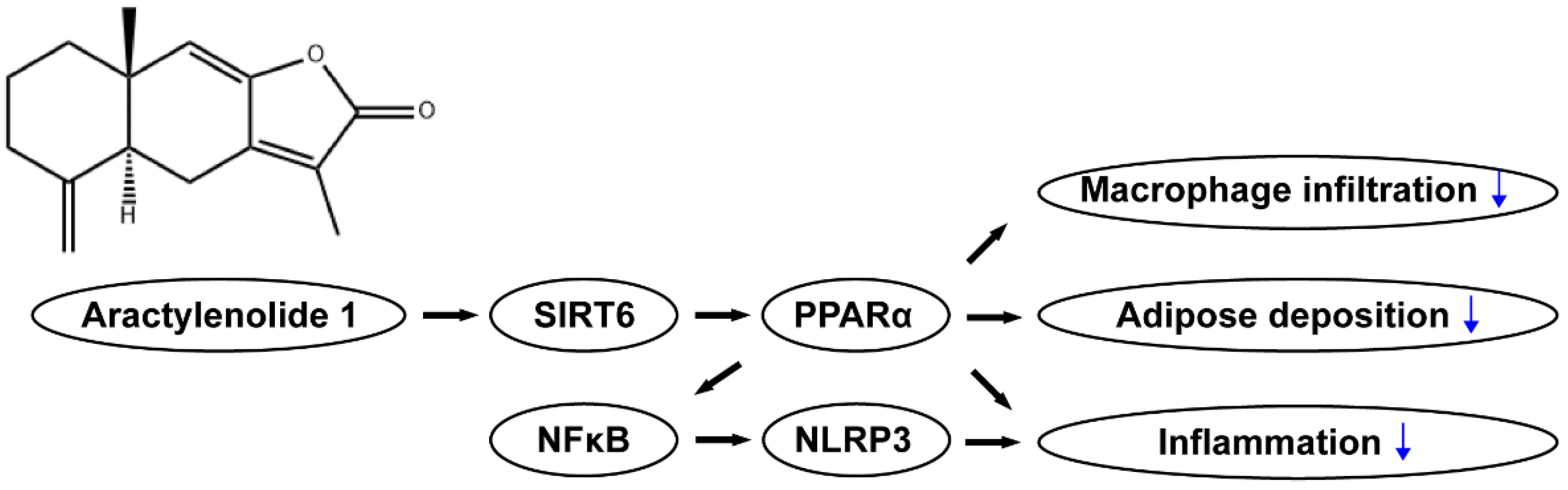 Pharmaceuticals 15 01526 g008