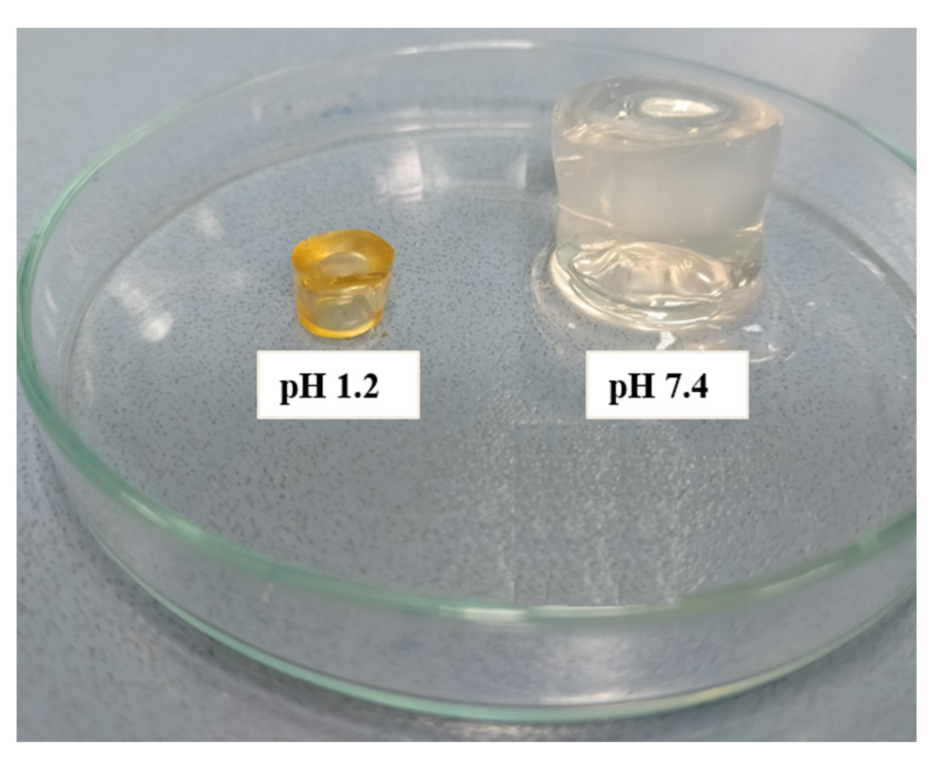 Pharmaceuticals 15 01527 g009