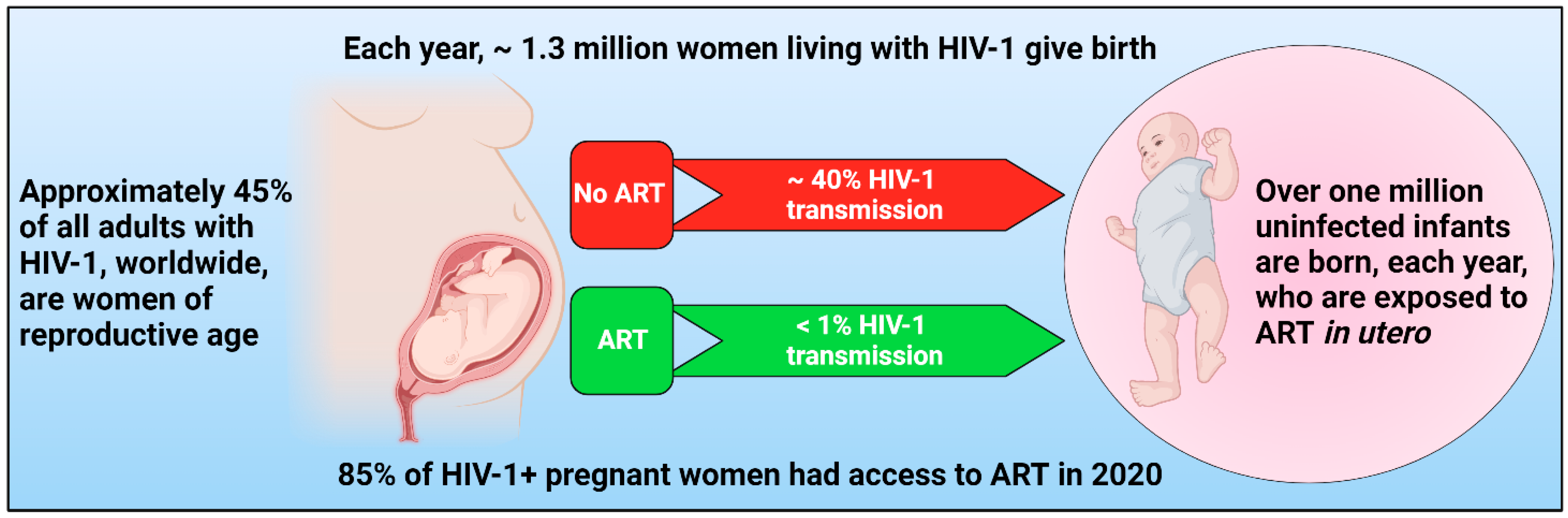 Pharmaceuticals 15 01533 g001
