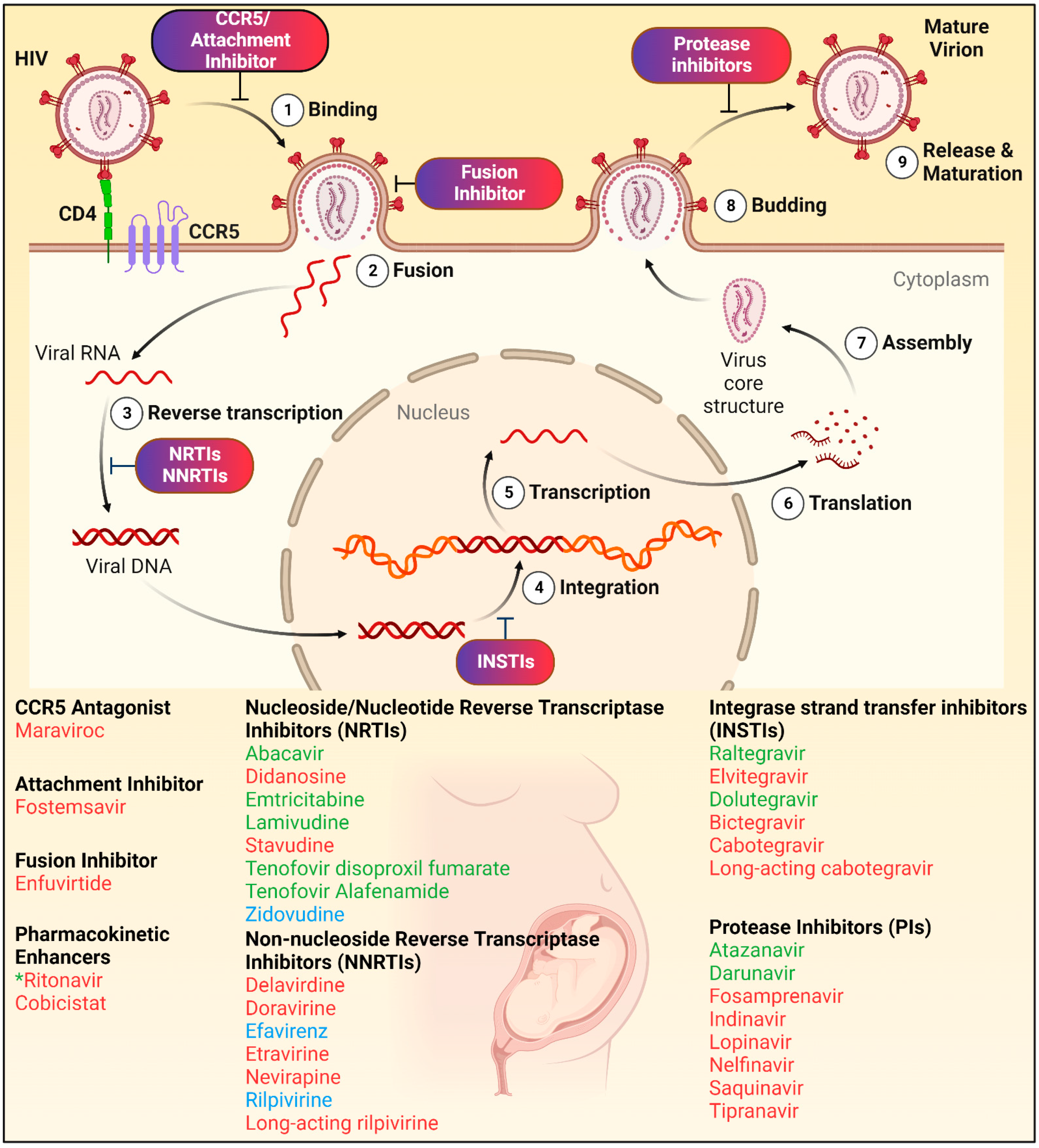 Pharmaceuticals 15 01533 g003