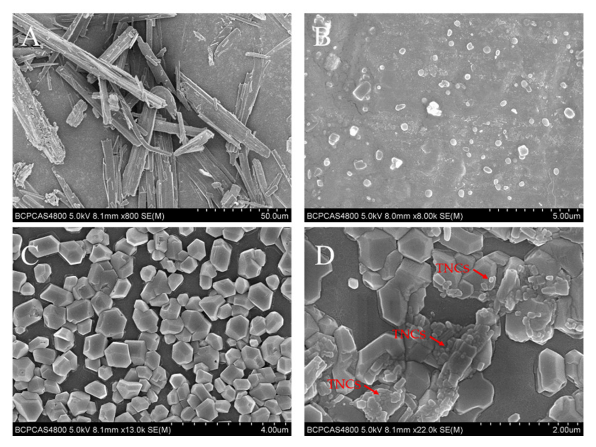 Pharmaceuticals 15 01534 g007 Pharmaceuticals 15 01534 g007