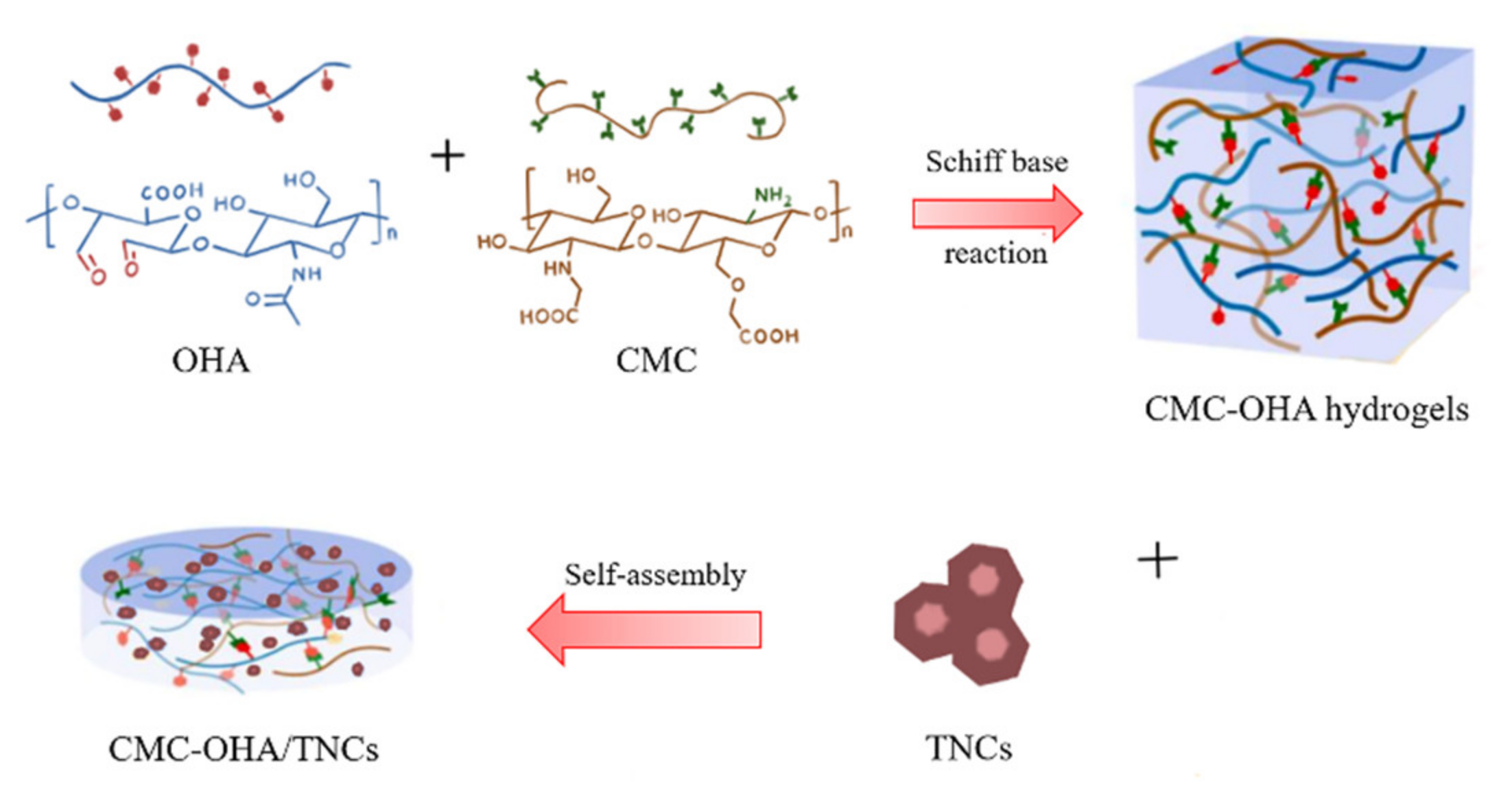 Pharmaceuticals 15 01534 g012 Pharmaceuticals 15 01534 g012