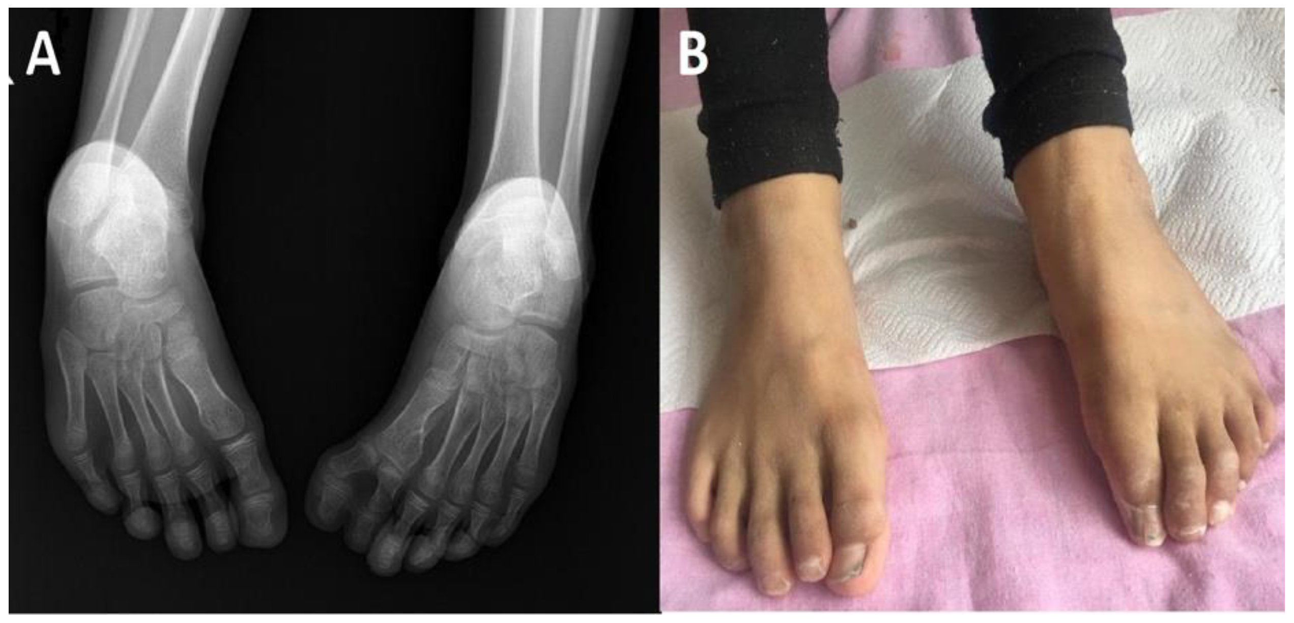 Pharmaceuticals 15 01535 g001