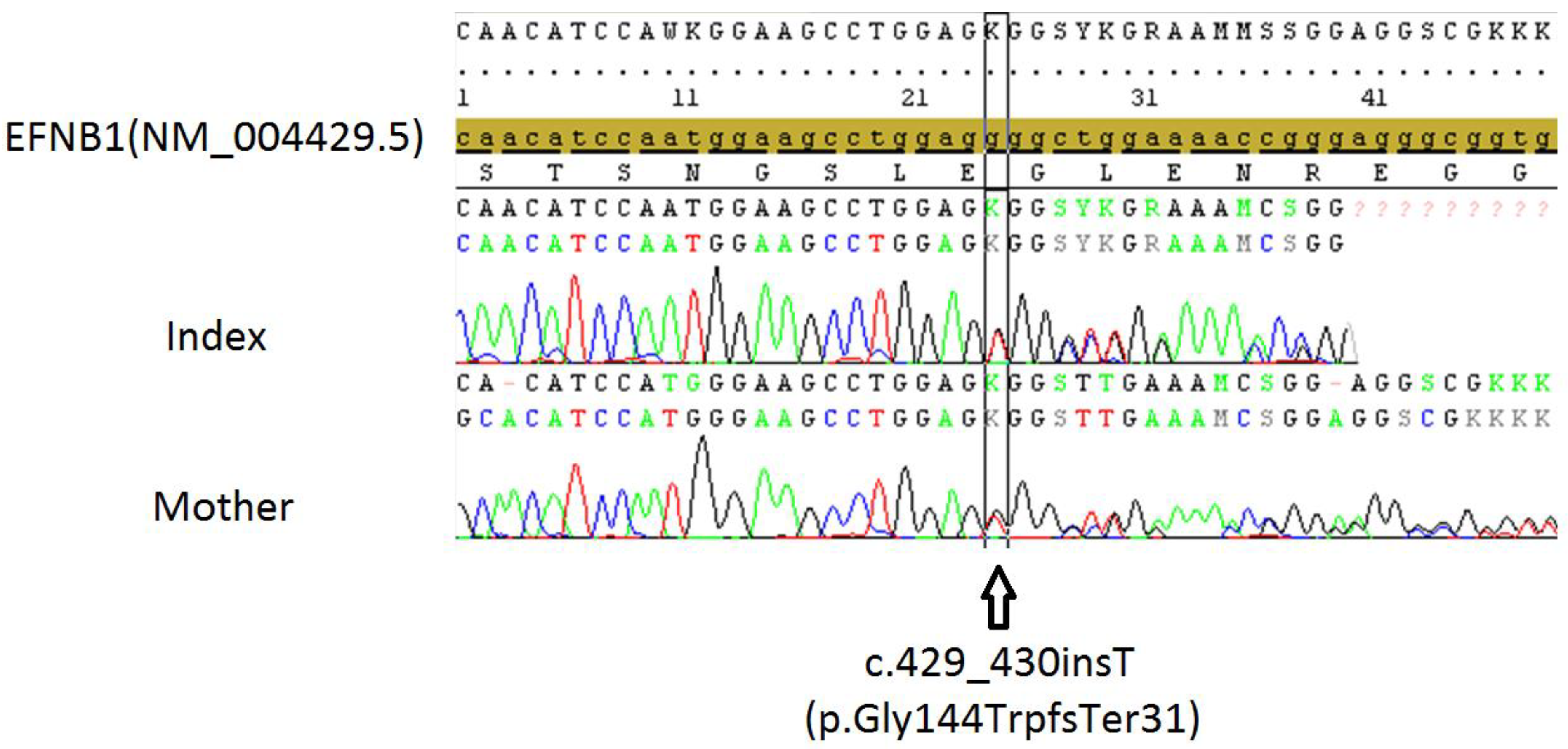 Pharmaceuticals 15 01535 g004
