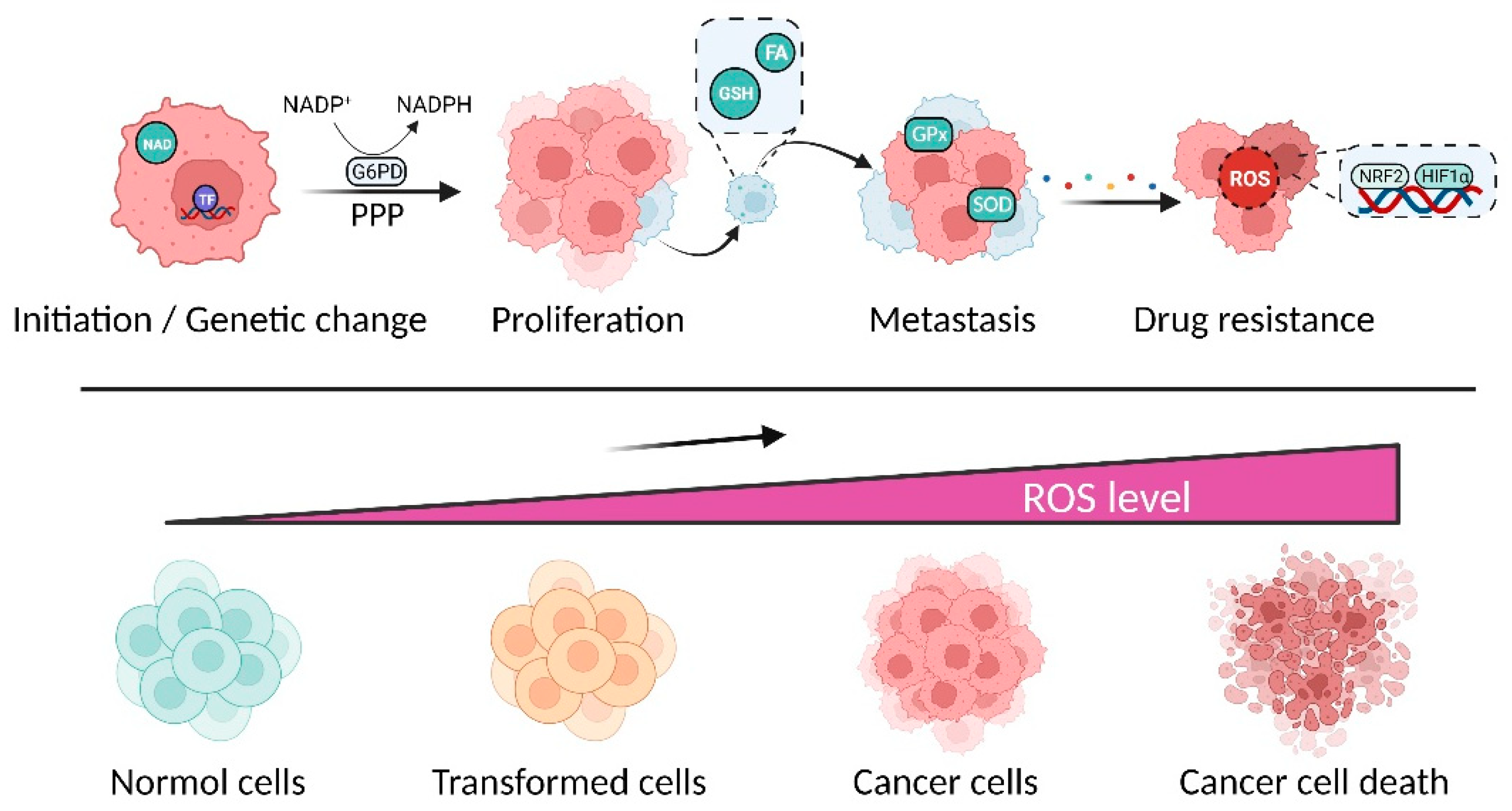 Pharmaceuticals 15 01540 g002 Pharmaceuticals 15 01540 g002