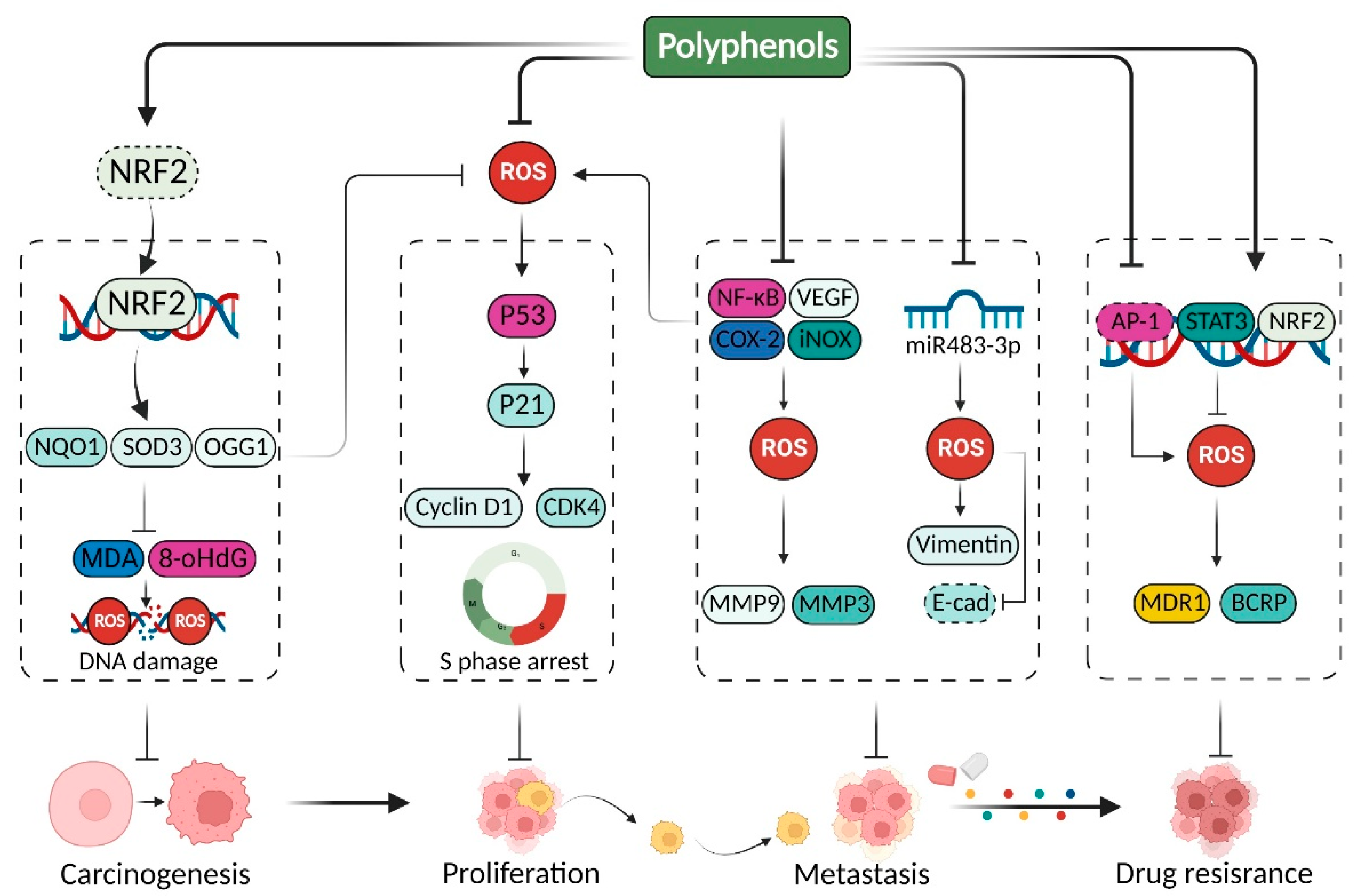 Pharmaceuticals 15 01540 g003 Pharmaceuticals 15 01540 g003
