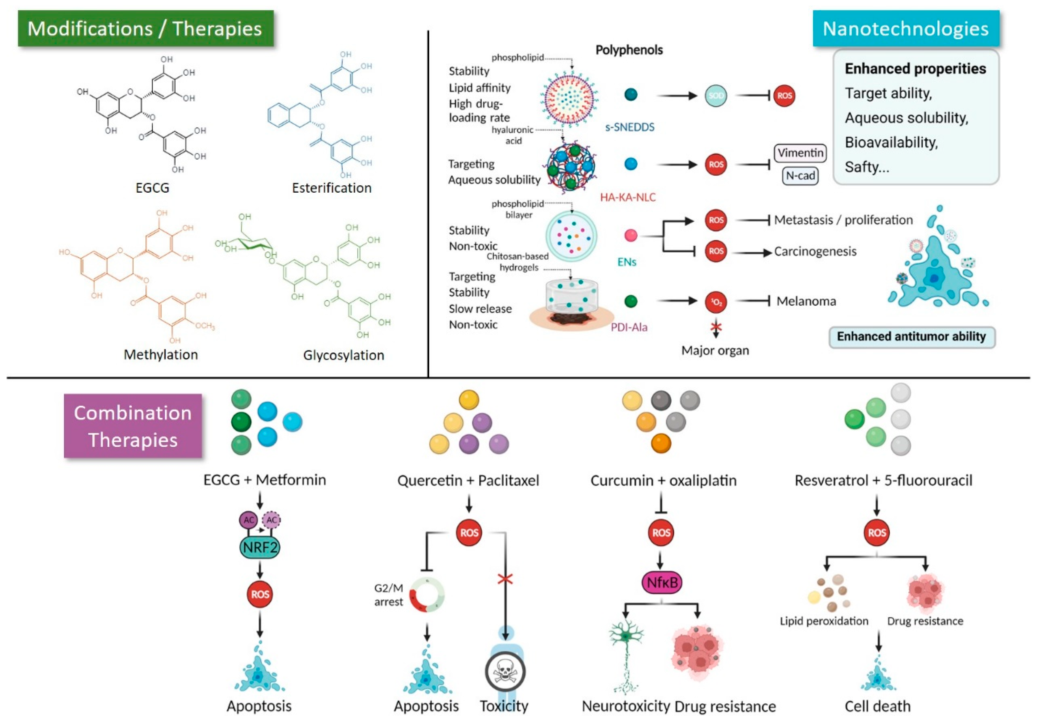 Pharmaceuticals Free FullText Exploiting PolyphenolMediated Redox
