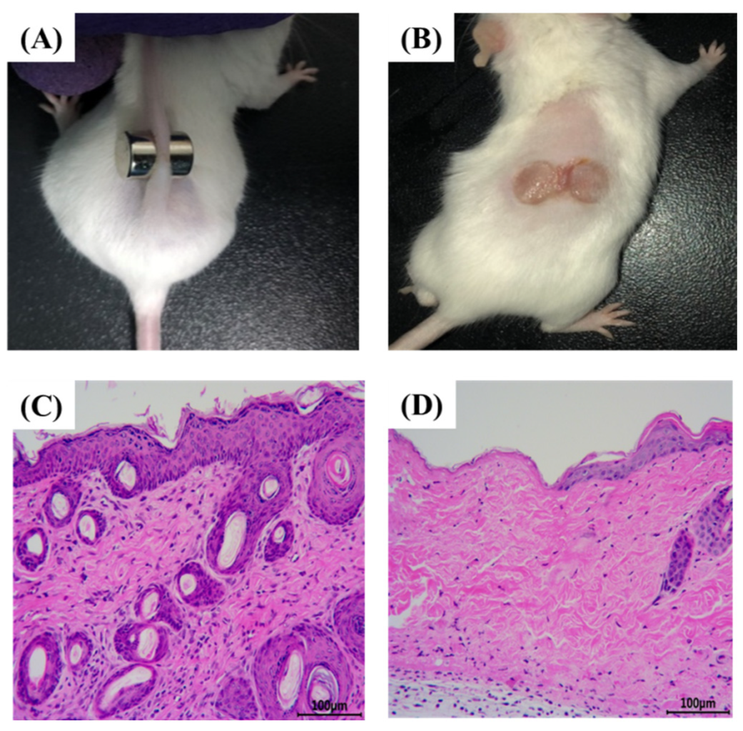 Pharmaceuticals 15 01548 g001 Pharmaceuticals 15 01548 g001