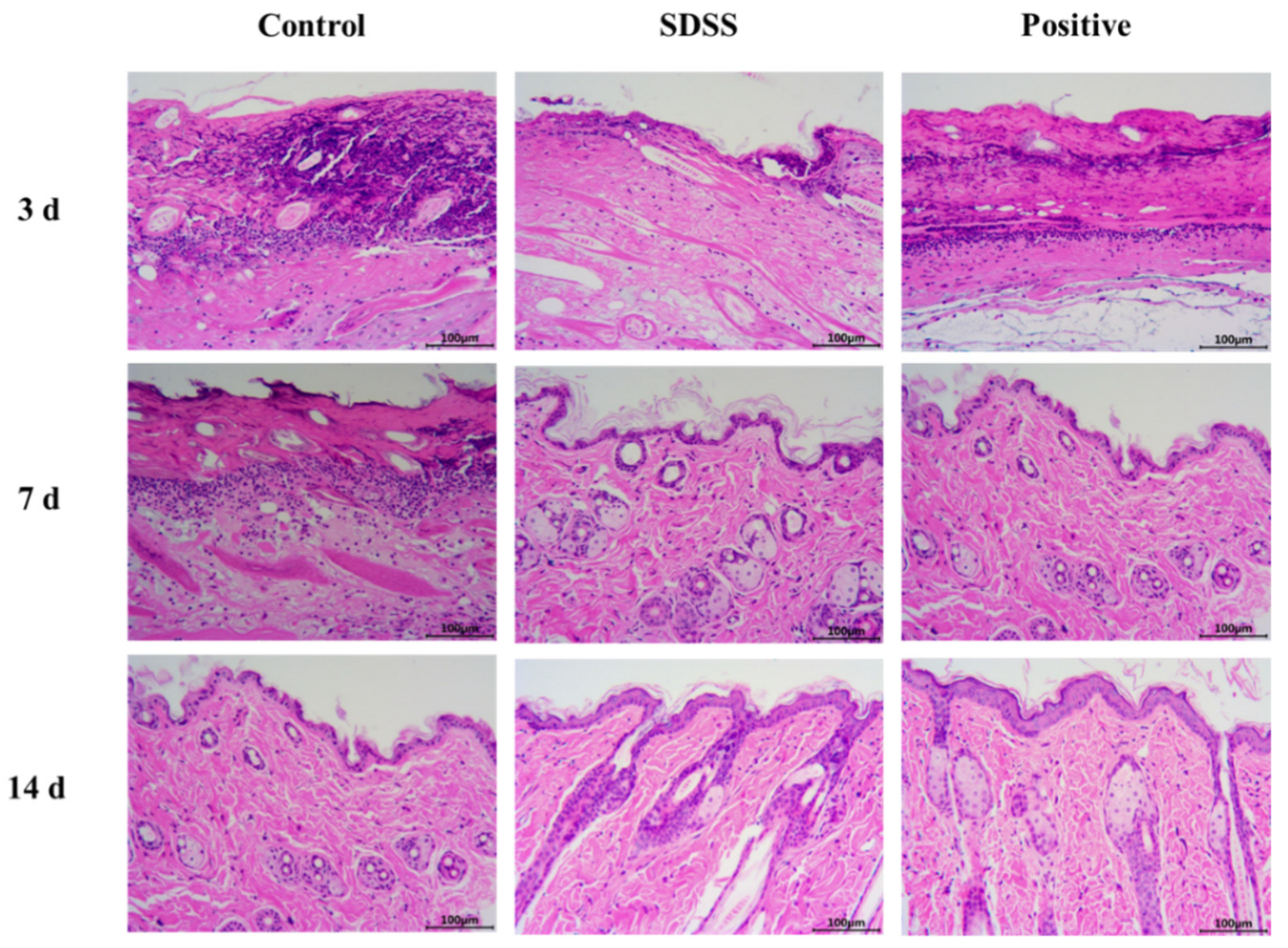 Pharmaceuticals 15 01548 g003 Pharmaceuticals 15 01548 g003