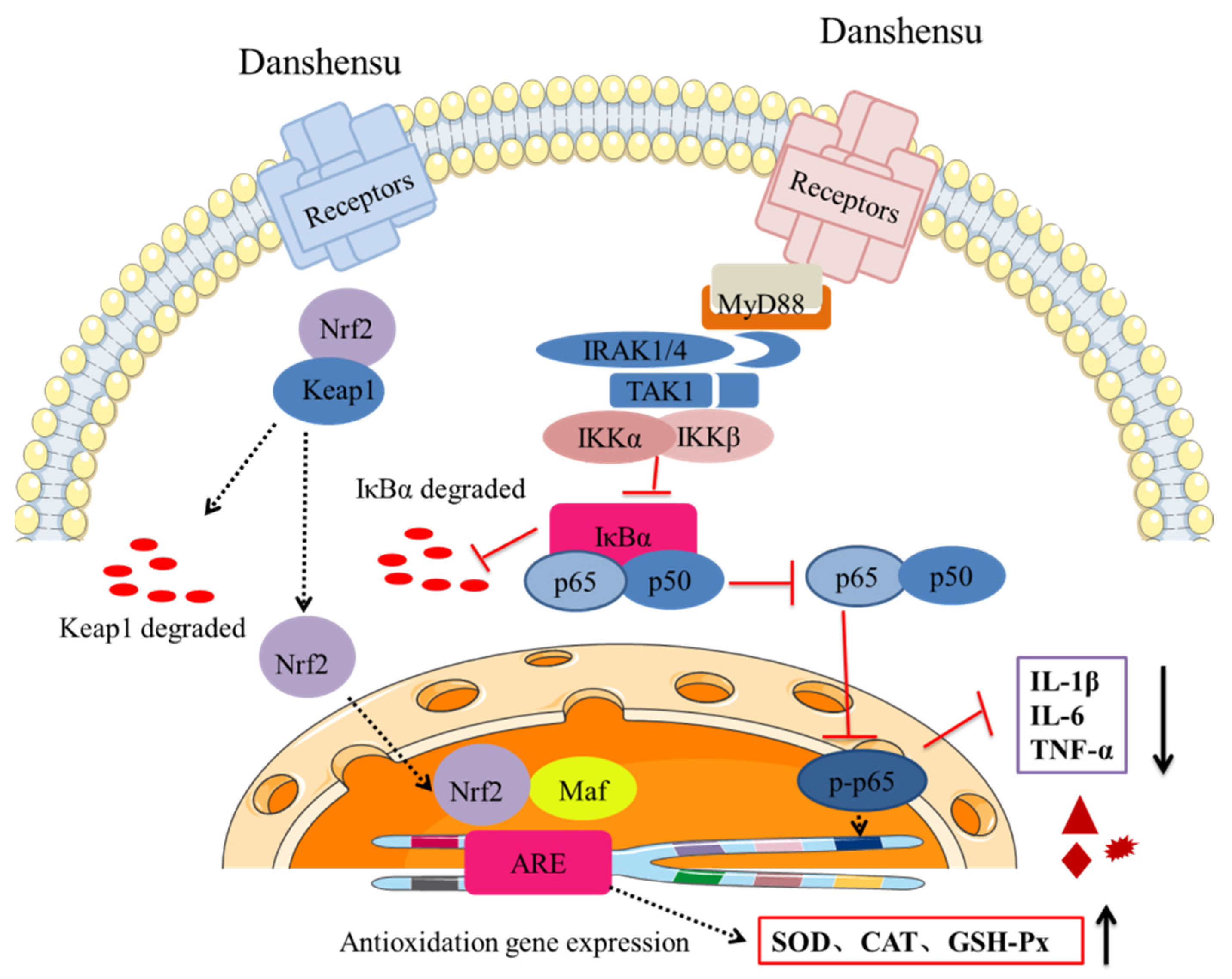 Pharmaceuticals 15 01548 g008 Pharmaceuticals 15 01548 g008