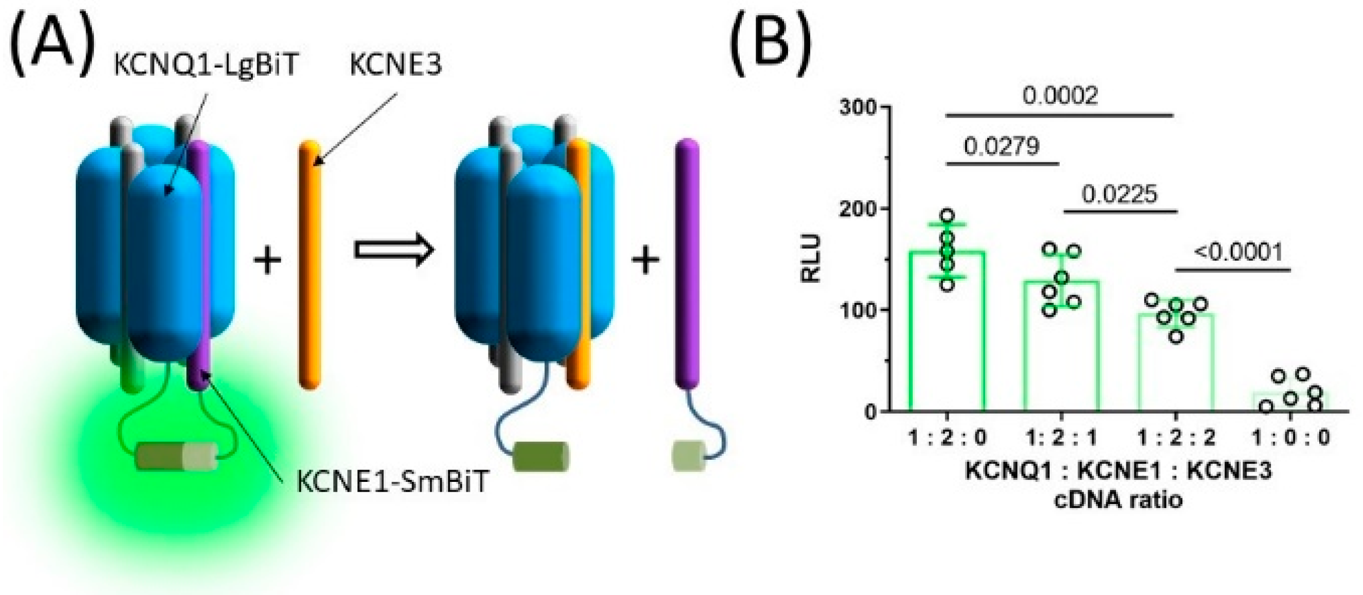 Pharmaceuticals 15 01550 g005 Pharmaceuticals 15 01550 g005