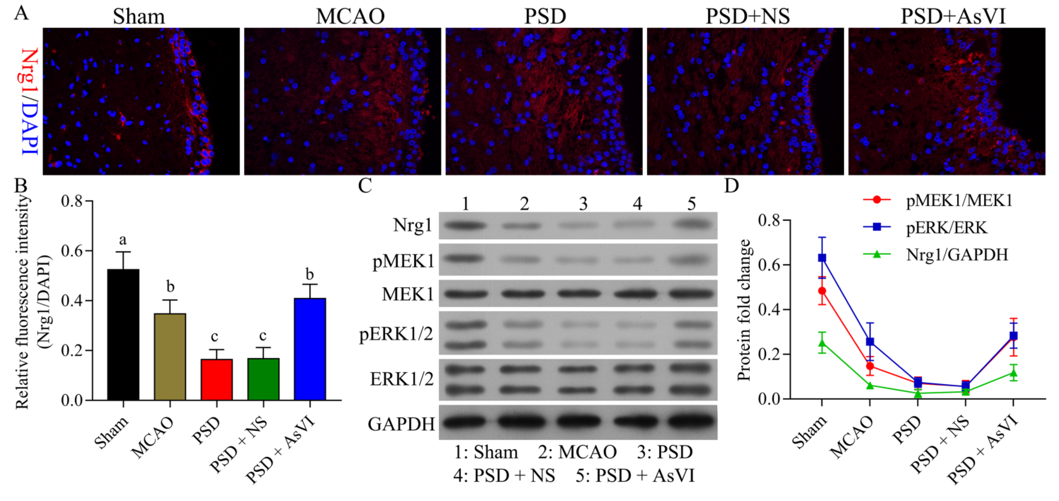 Pharmaceuticals 15 01551 g005 Pharmaceuticals 15 01551 g005