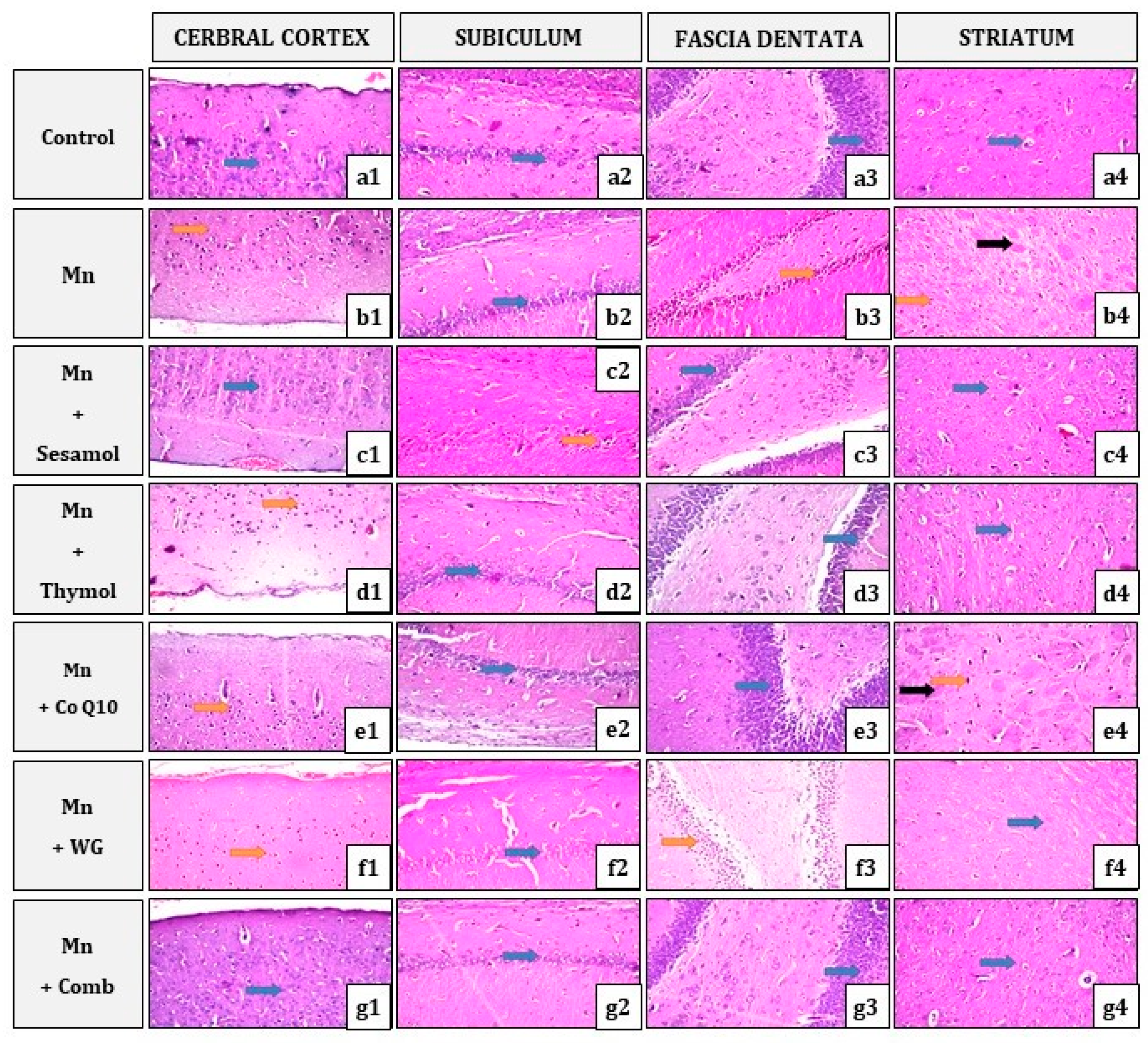 Pharmaceuticals 15 01554 g009 Pharmaceuticals 15 01554 g009