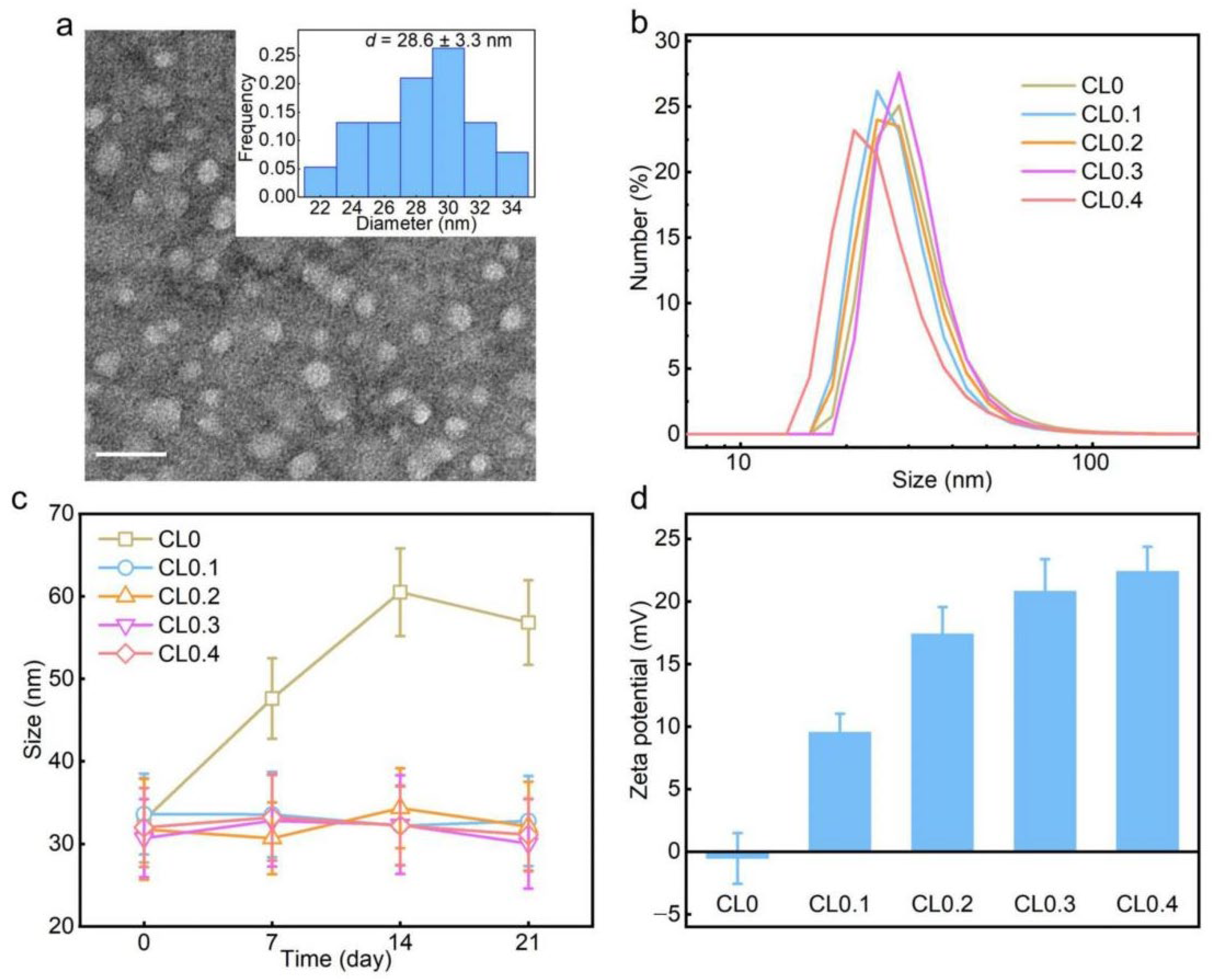 Pharmaceuticals 15 01556 g001 Pharmaceuticals 15 01556 g001