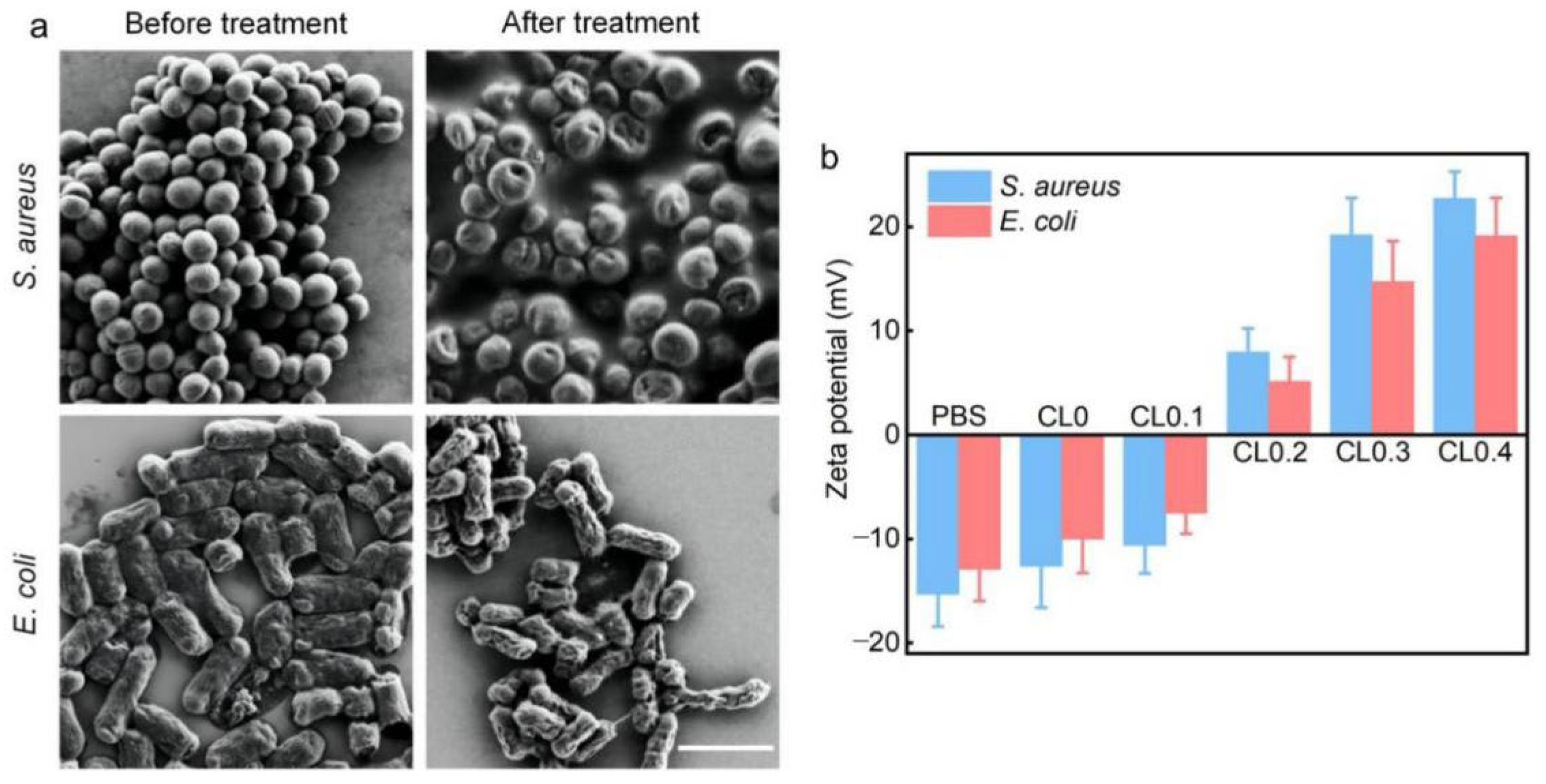 Pharmaceuticals 15 01556 g003 Pharmaceuticals 15 01556 g003