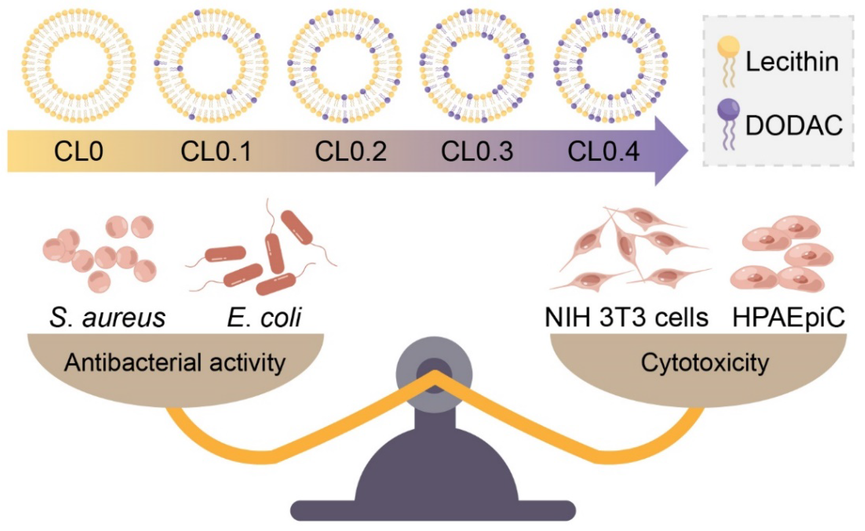 Pharmaceuticals 15 01556 sch001 Pharmaceuticals 15 01556 sch001