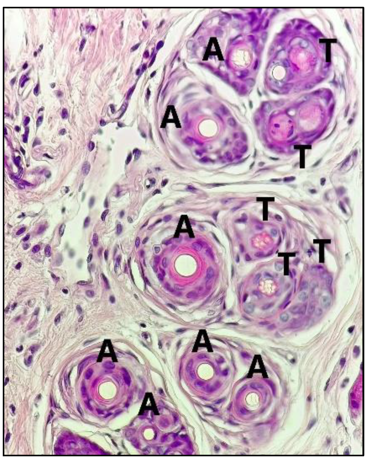 Pharmaceuticals 15 01557 g004 Pharmaceuticals 15 01557 g004