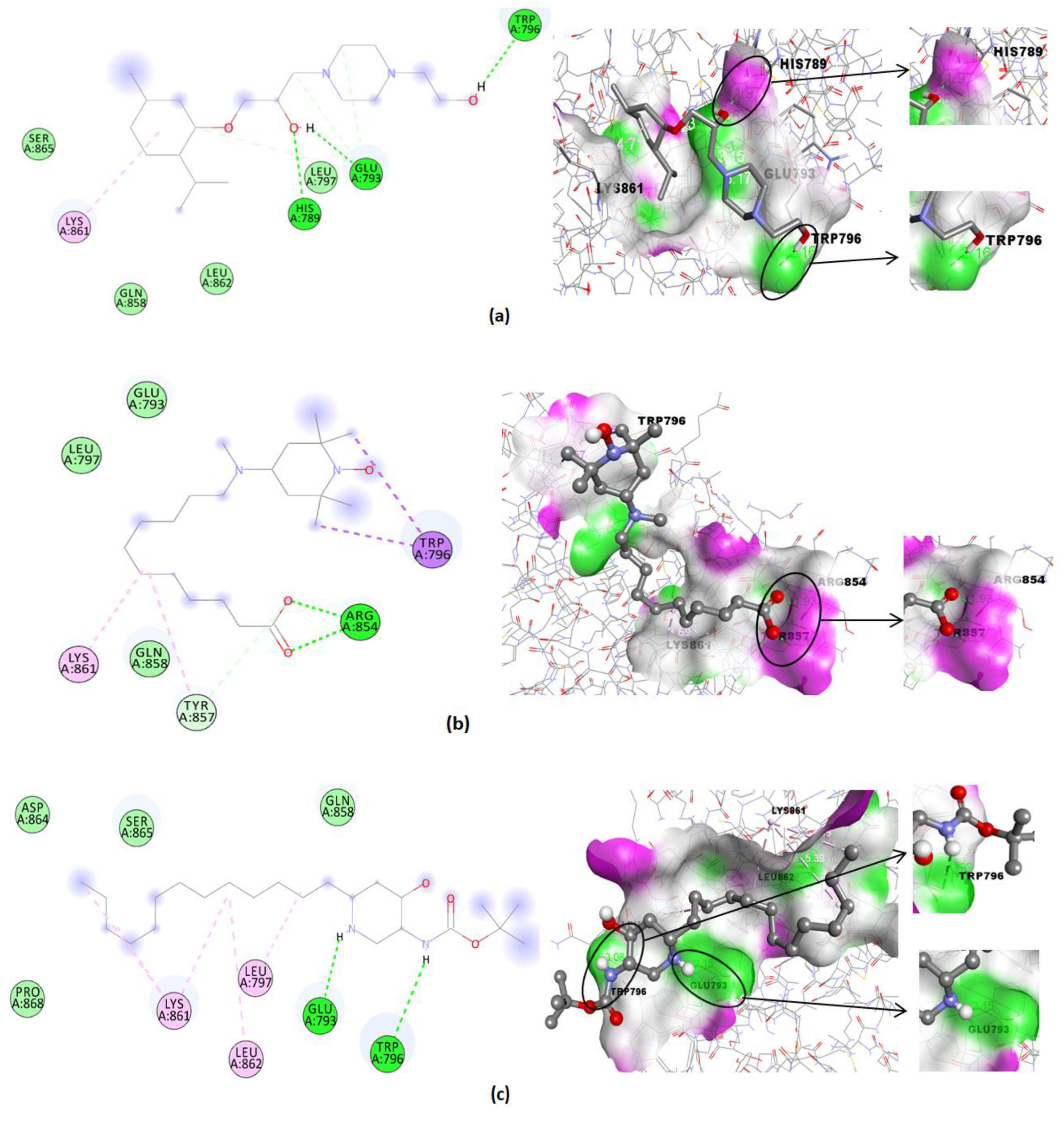 Pharmaceuticals 15 01557 g008a Pharmaceuticals 15 01557 g008a