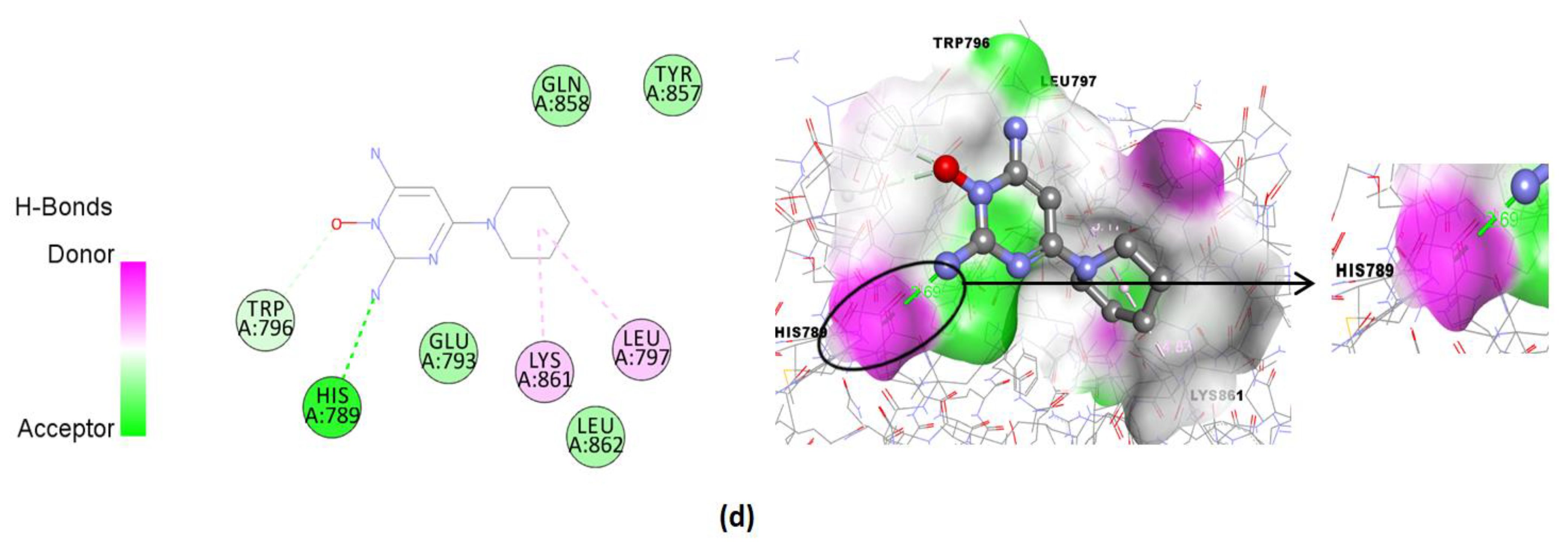 Pharmaceuticals 15 01557 g008b Pharmaceuticals 15 01557 g008b