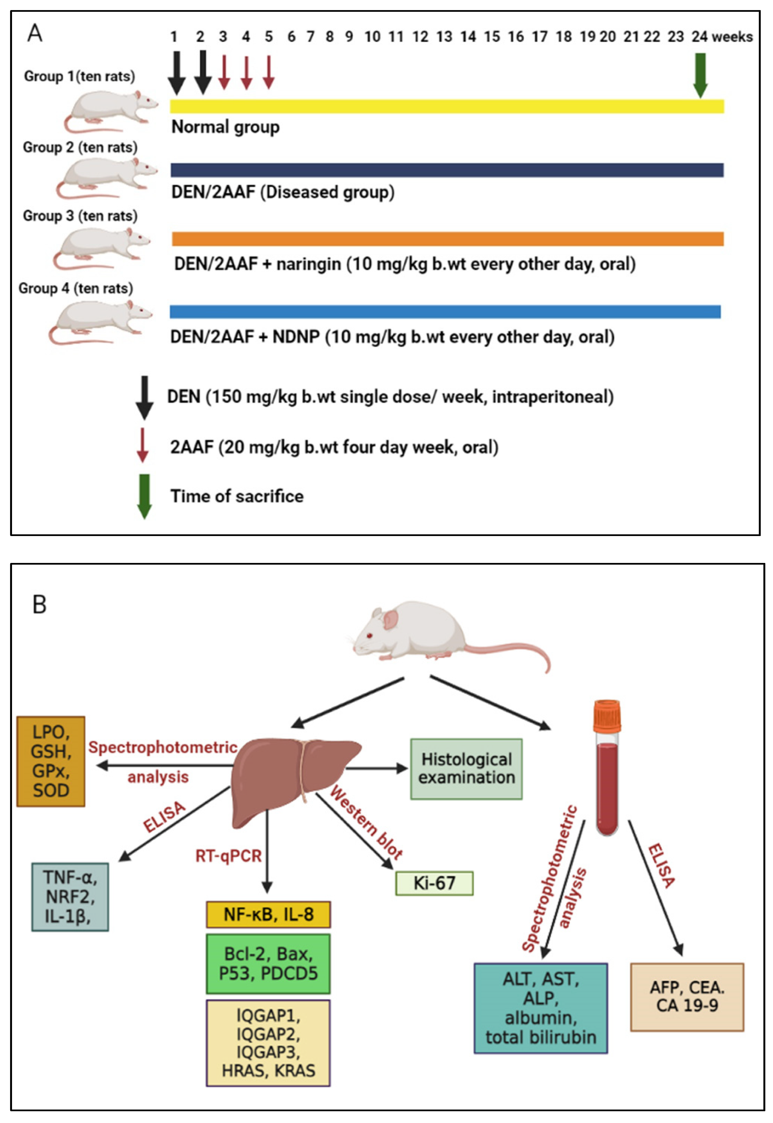 Pharmaceuticals 15 01558 g008 Pharmaceuticals 15 01558 g008