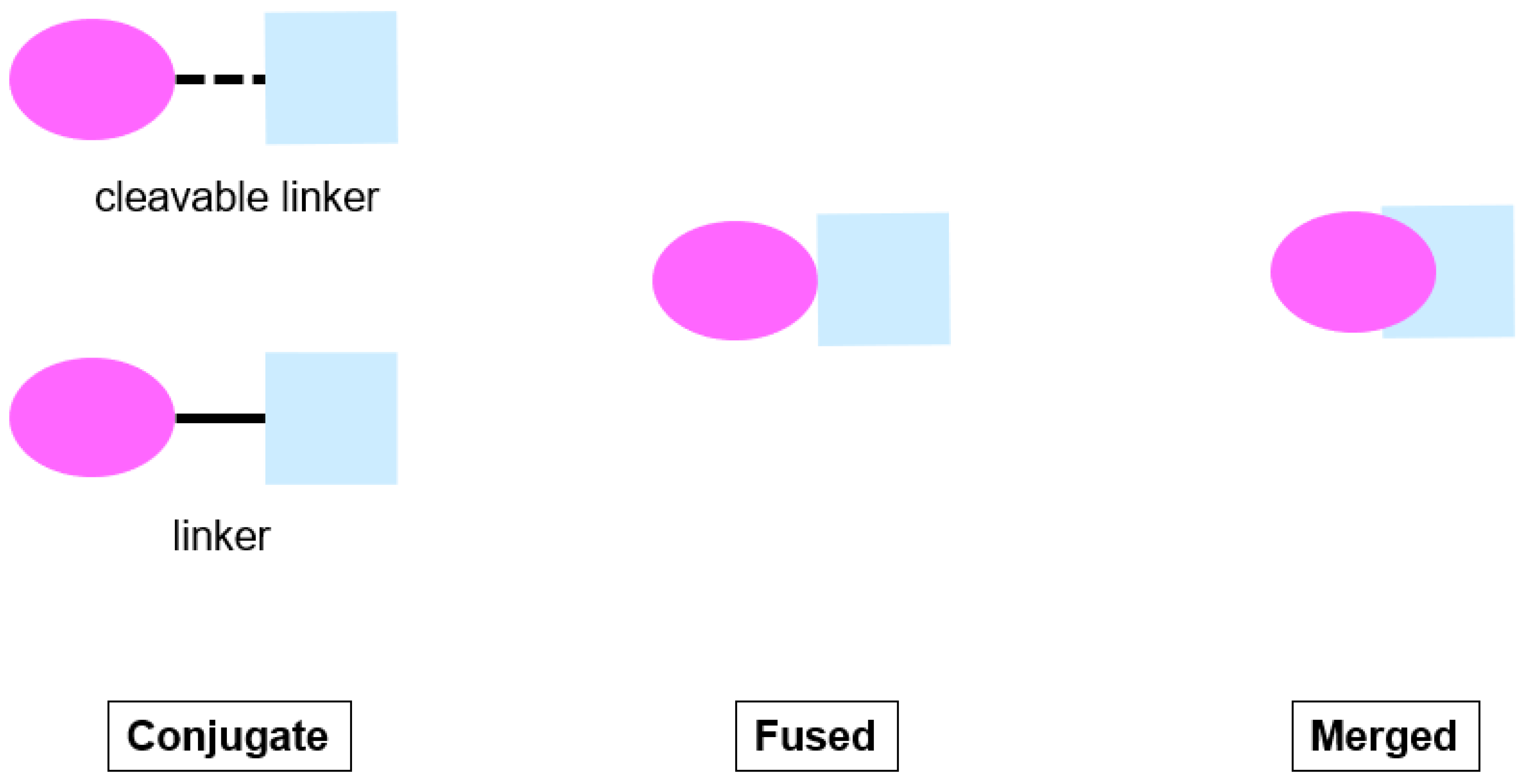 Pharmaceuticals 15 01560 g003 Pharmaceuticals 15 01560 g003