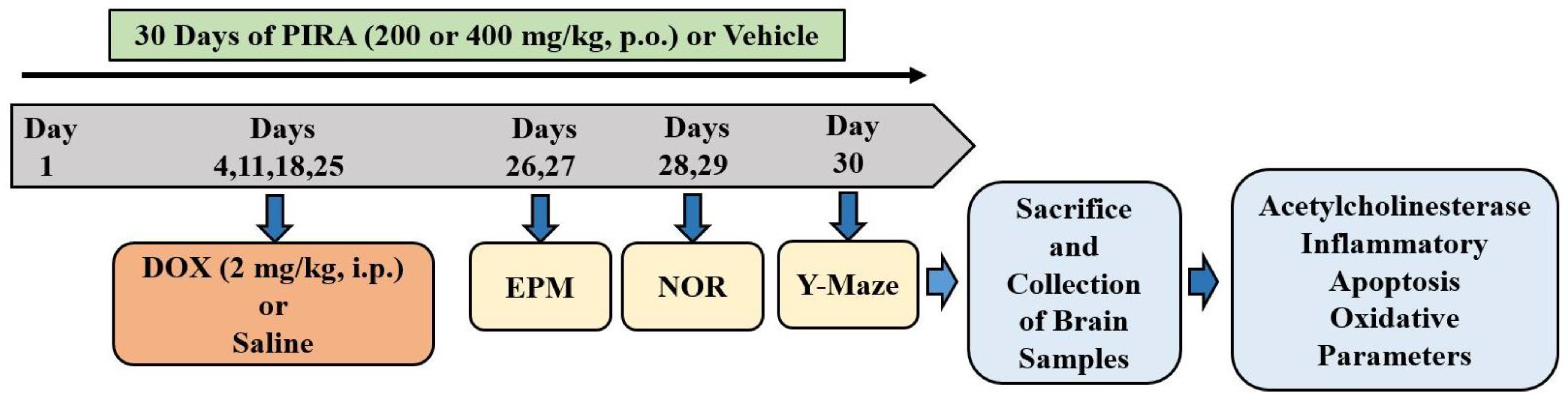 Pharmaceuticals 15 01563 g008