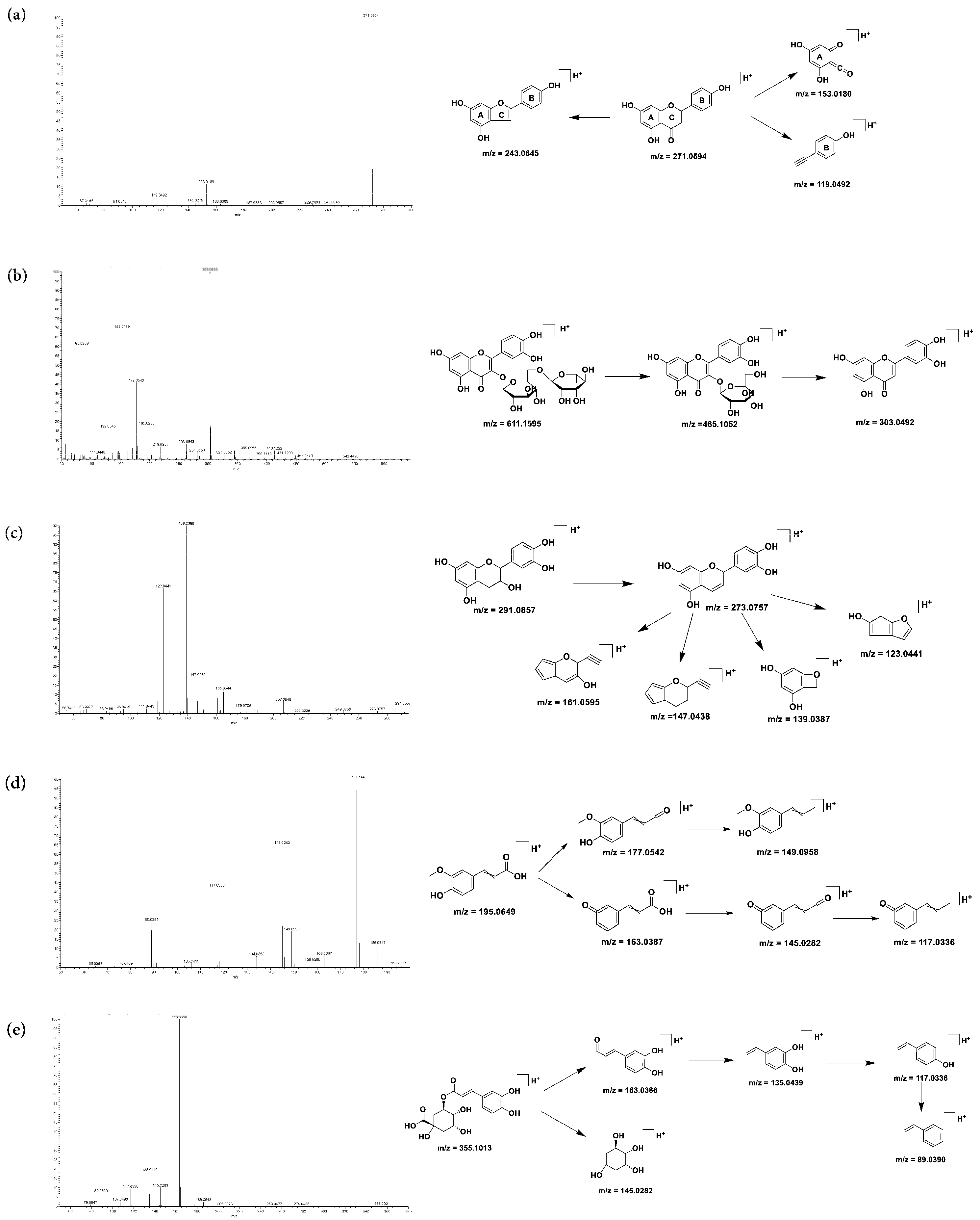 Pharmaceuticals 15 01566 g002