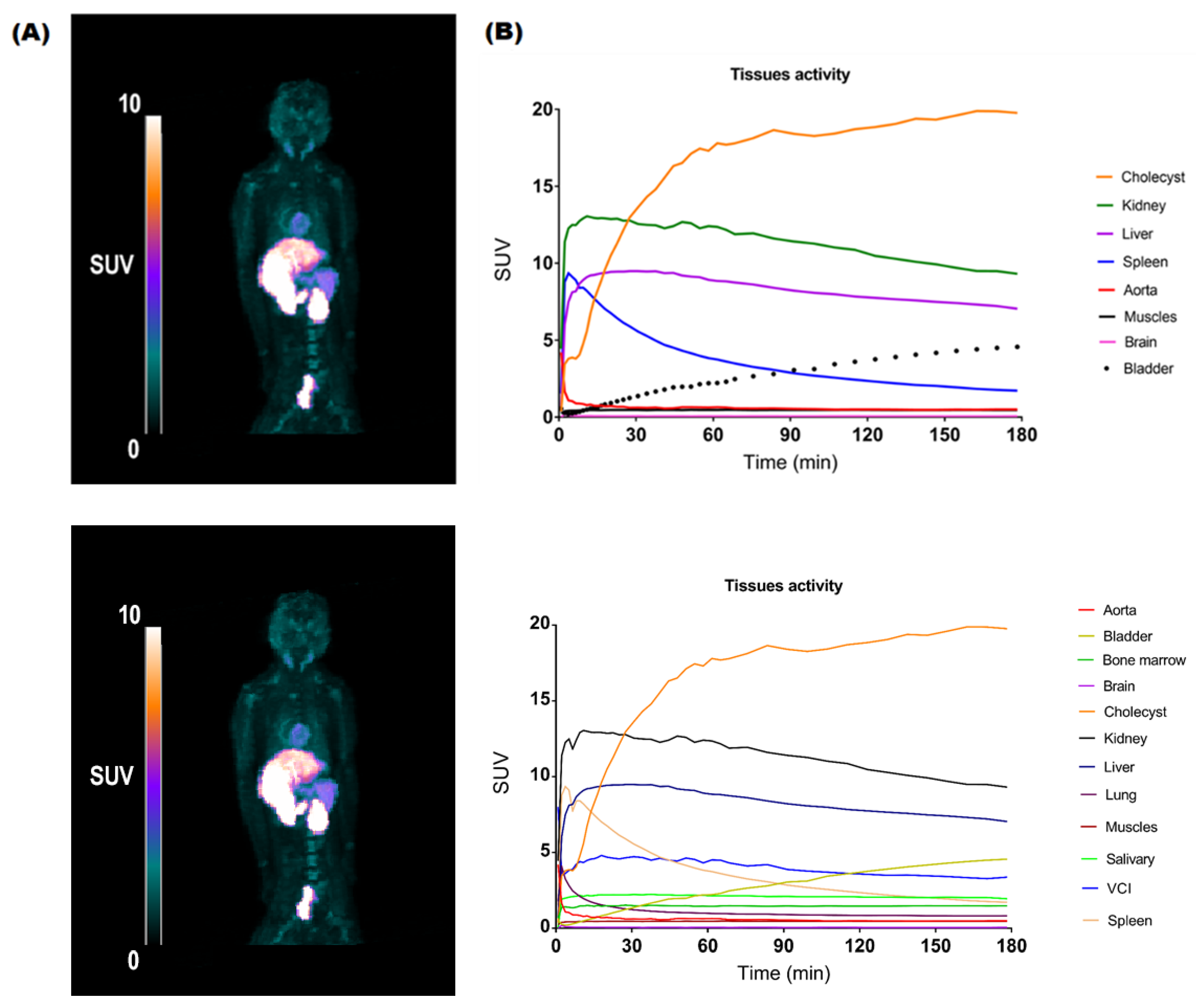 Pharmaceuticals 15 01568 g005