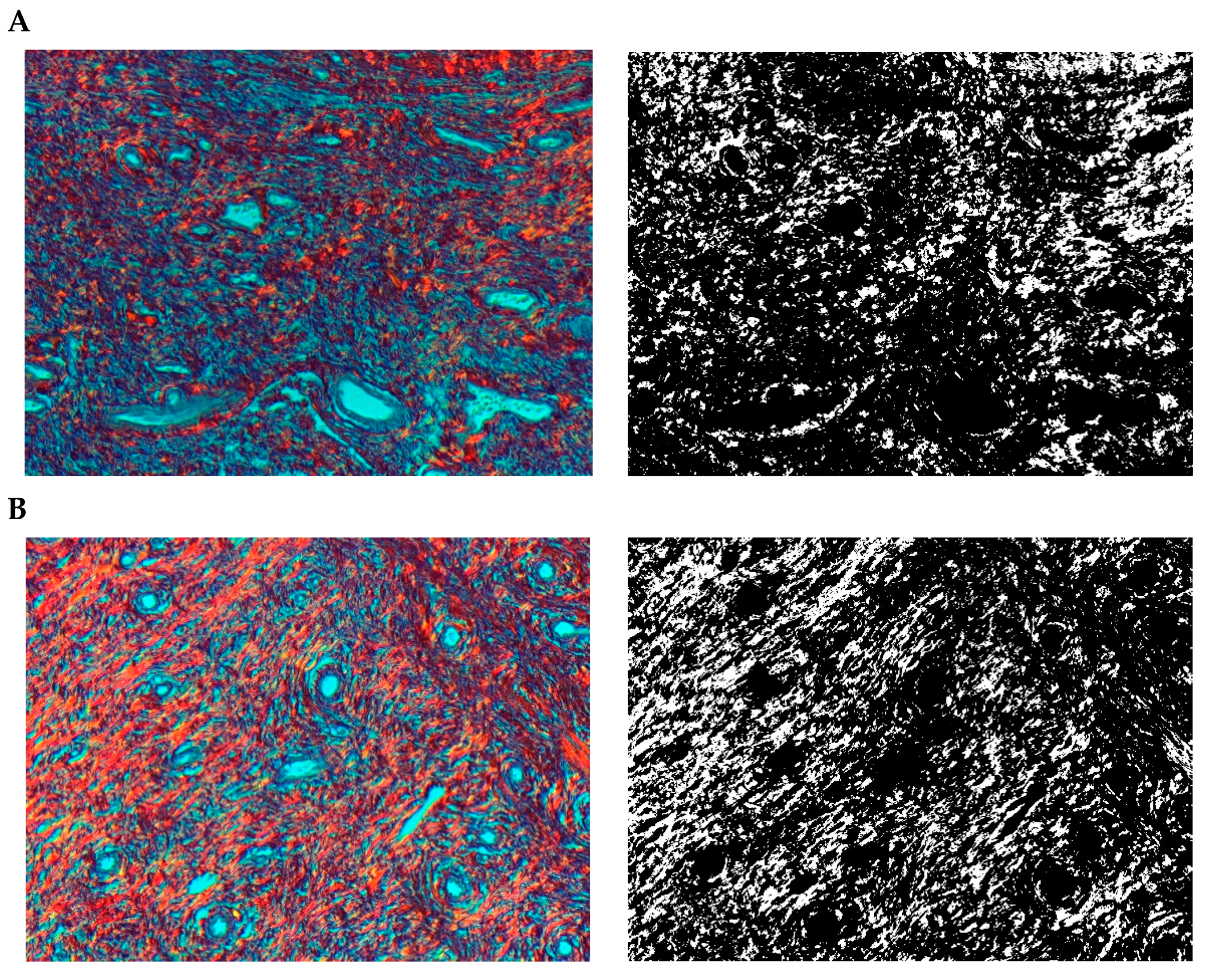 Pharmaceuticals 15 01571 g009 Pharmaceuticals 15 01571 g009