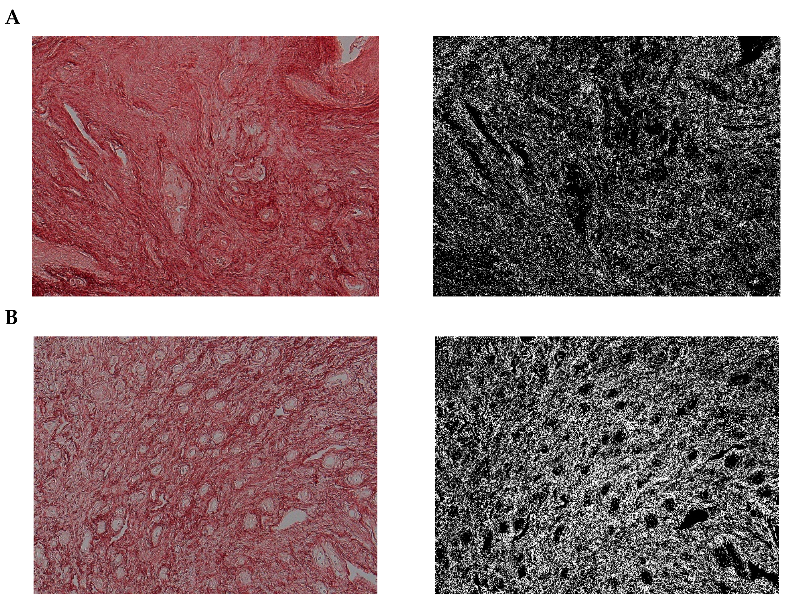 Pharmaceuticals 15 01571 g012 Pharmaceuticals 15 01571 g012