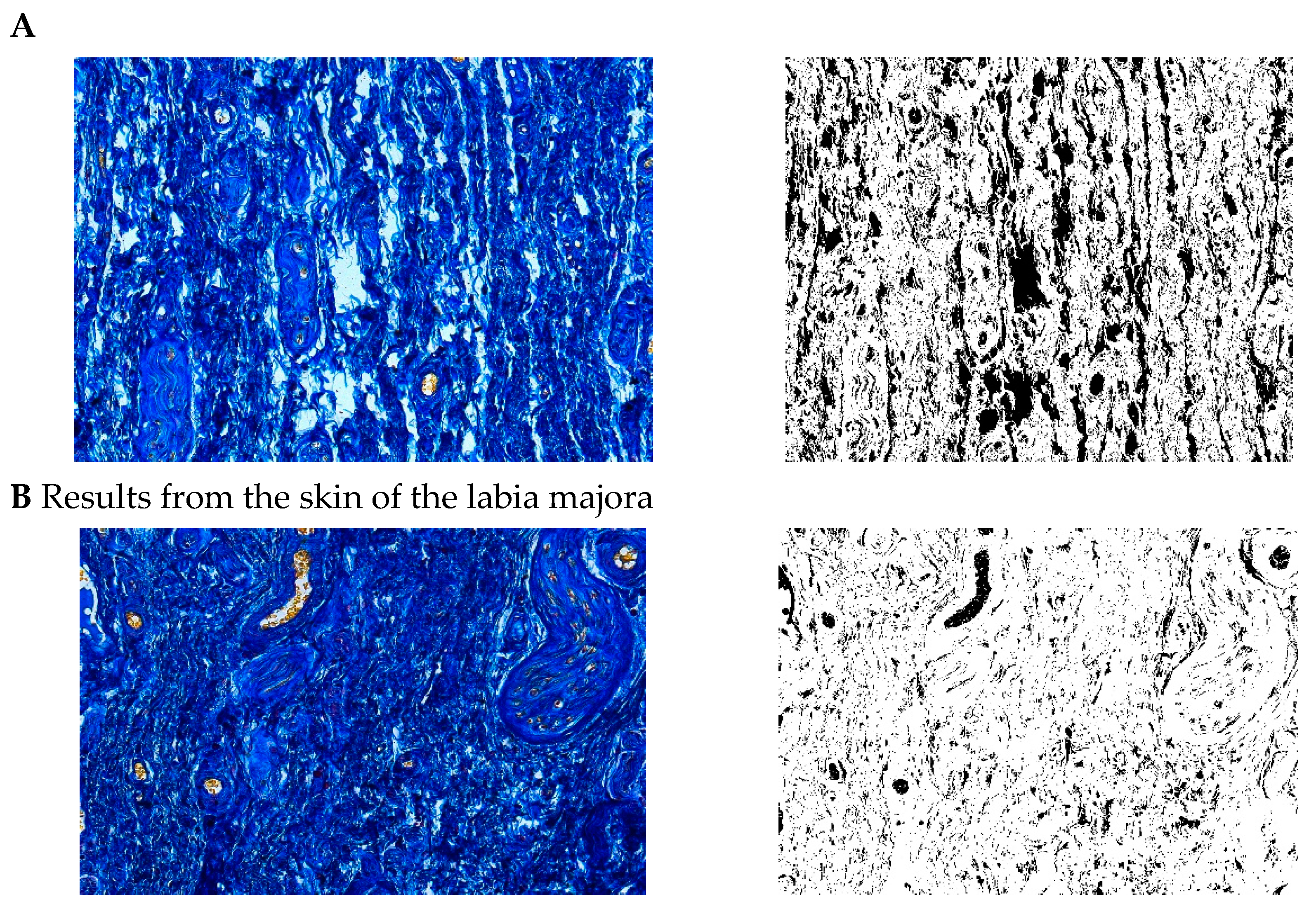 Pharmaceuticals 15 01571 g015 Pharmaceuticals 15 01571 g015