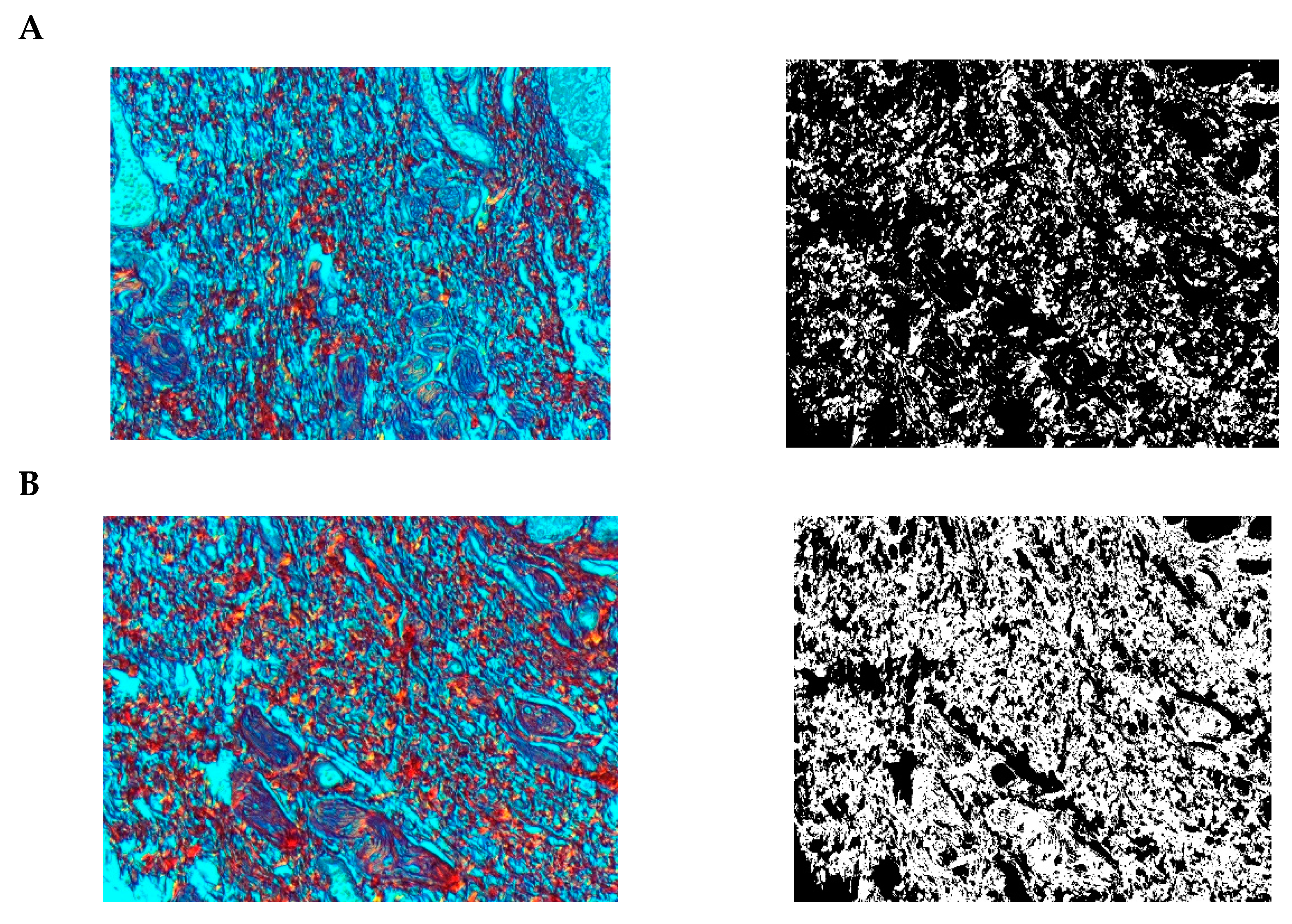 Pharmaceuticals 15 01571 g018 Pharmaceuticals 15 01571 g018