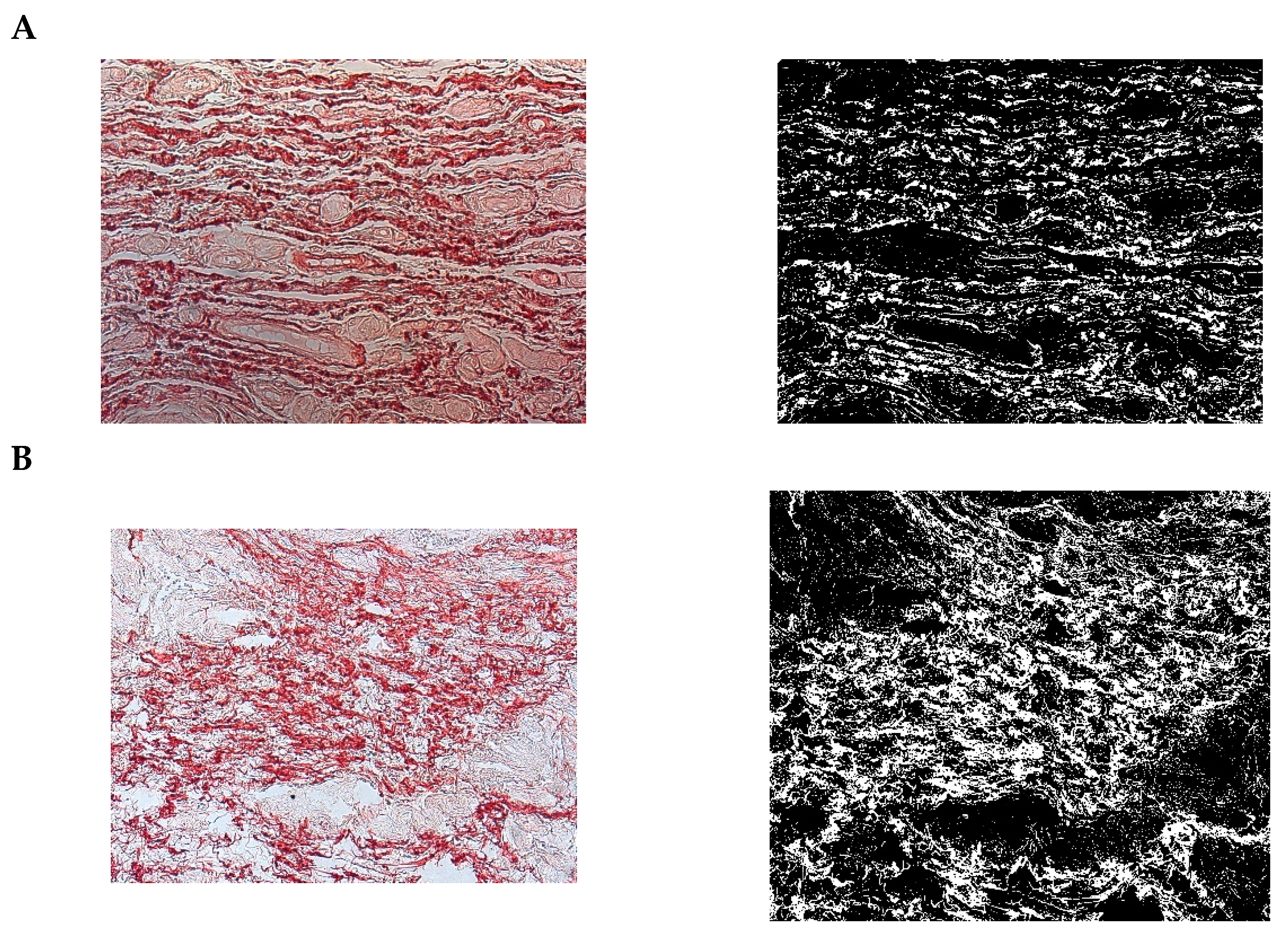 Pharmaceuticals 15 01571 g021 Pharmaceuticals 15 01571 g021