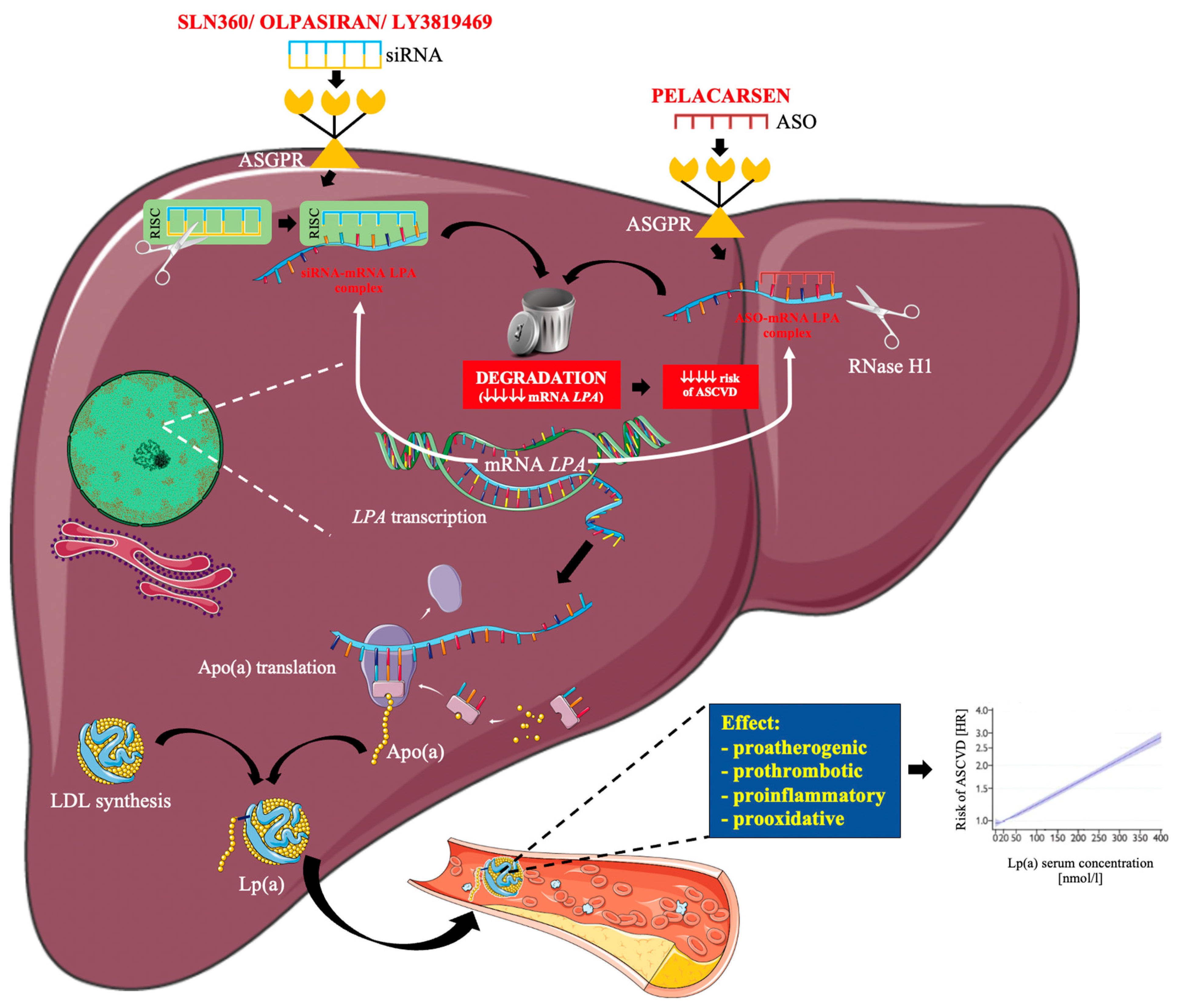 Pharmaceuticals 15 01573 g002