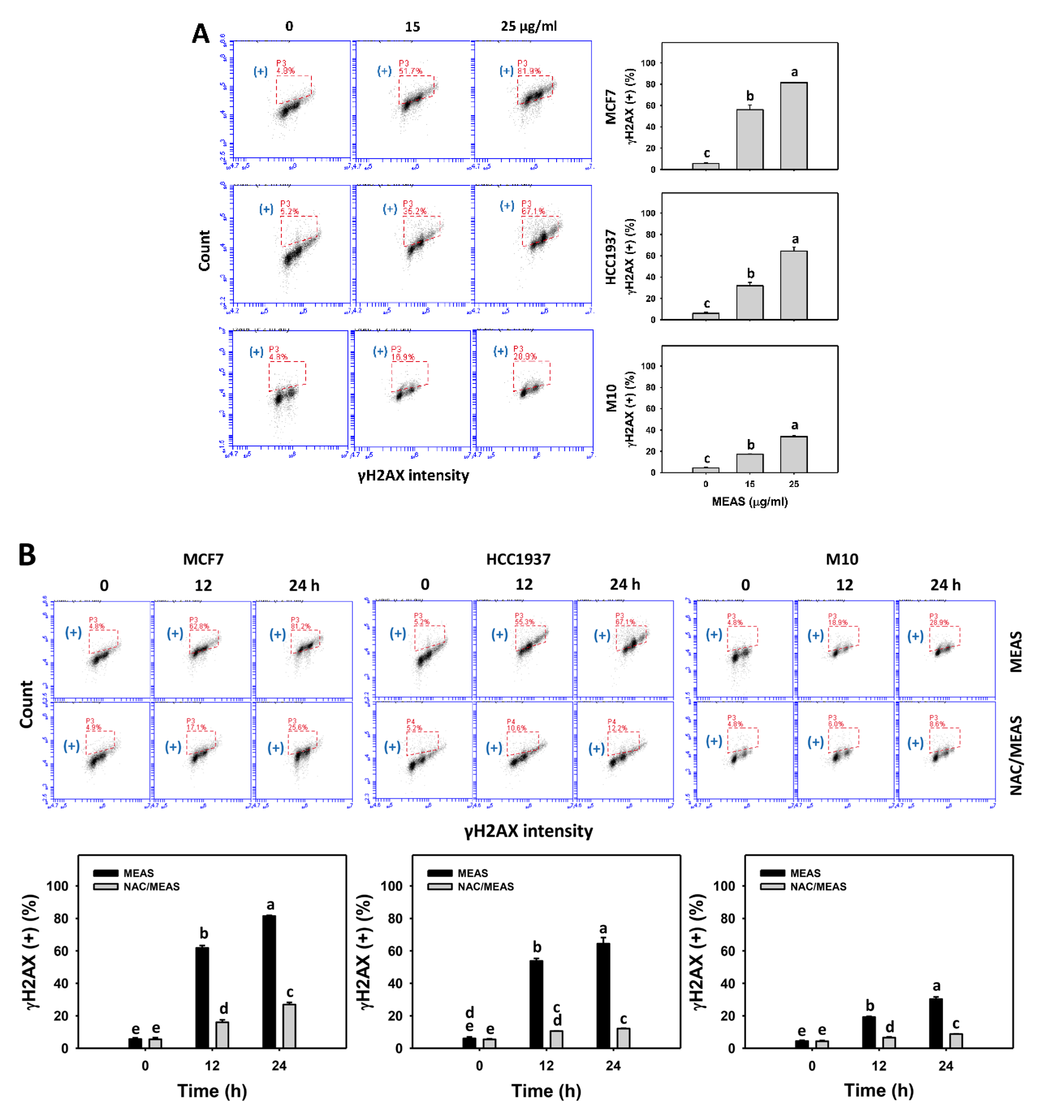 Pharmaceuticals 15 01575 g009 Pharmaceuticals 15 01575 g009