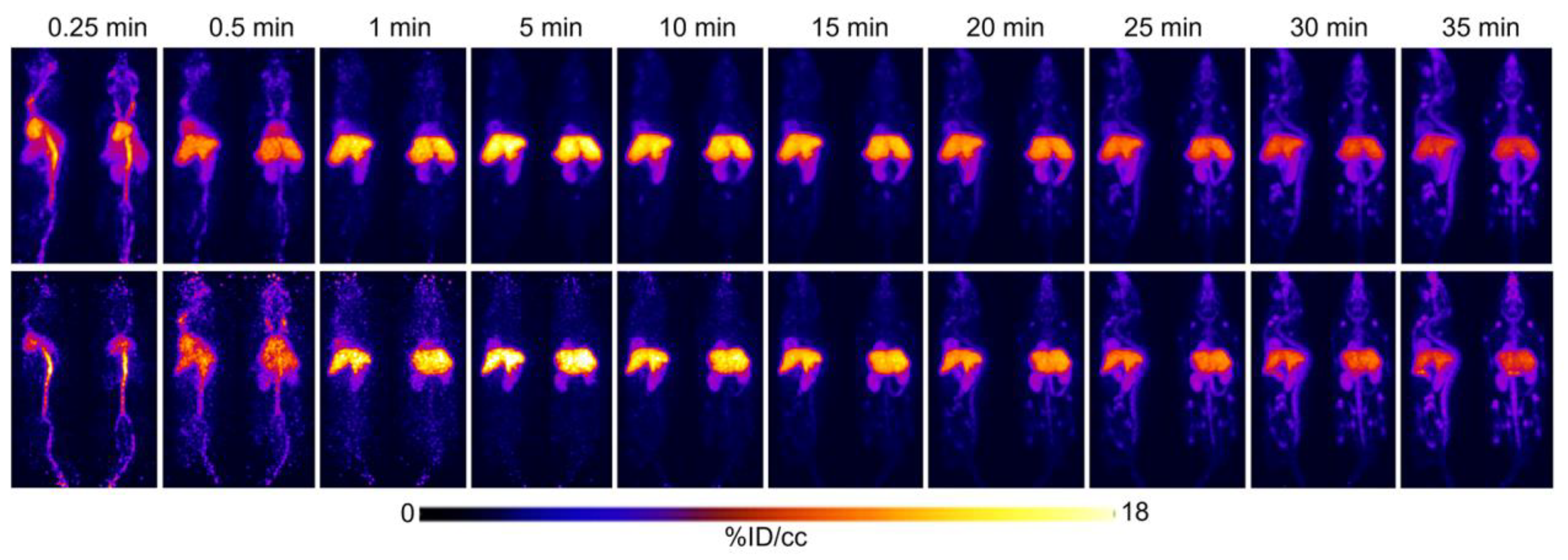 Pharmaceuticals 15 01577 g001 Pharmaceuticals 15 01577 g001