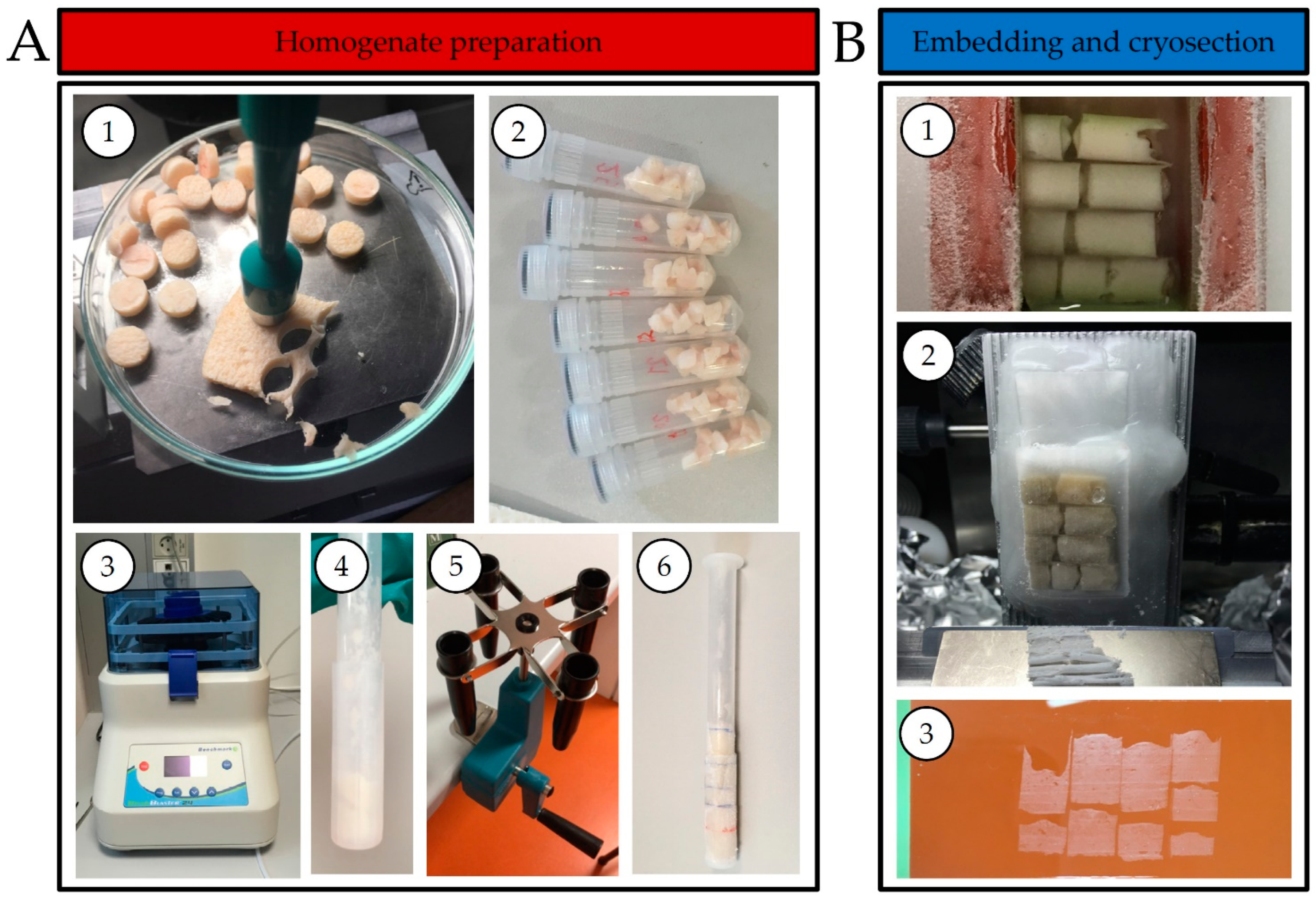 Pharmaceuticals 15 01583 g001