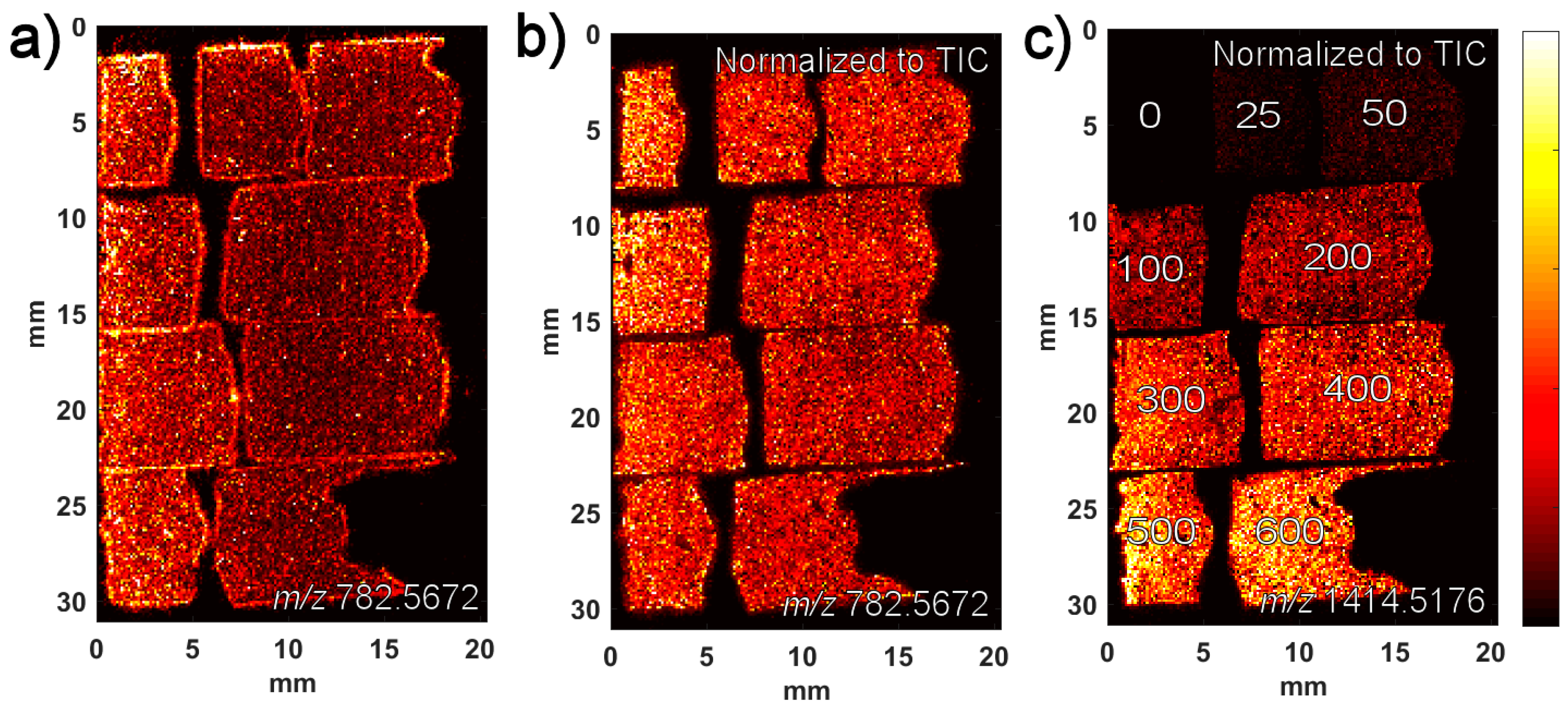 Pharmaceuticals 15 01583 g002