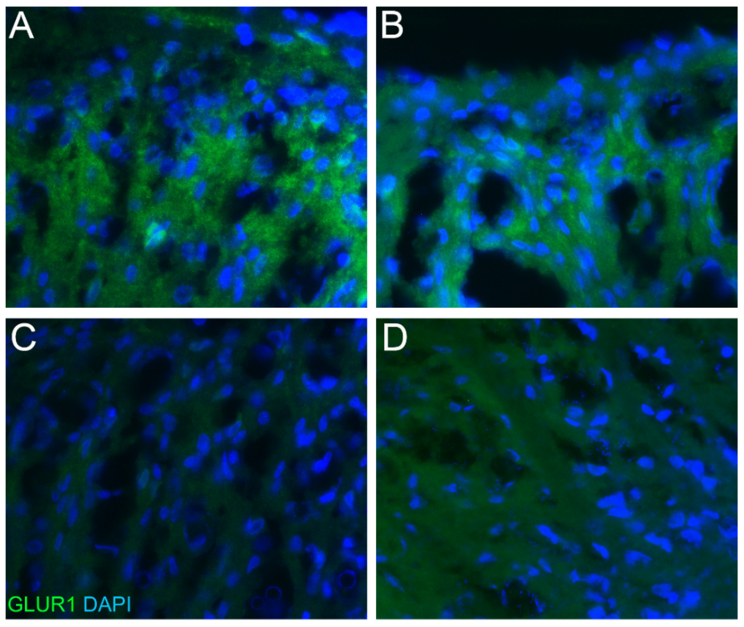 Pharmaceuticals 15 01586 g005